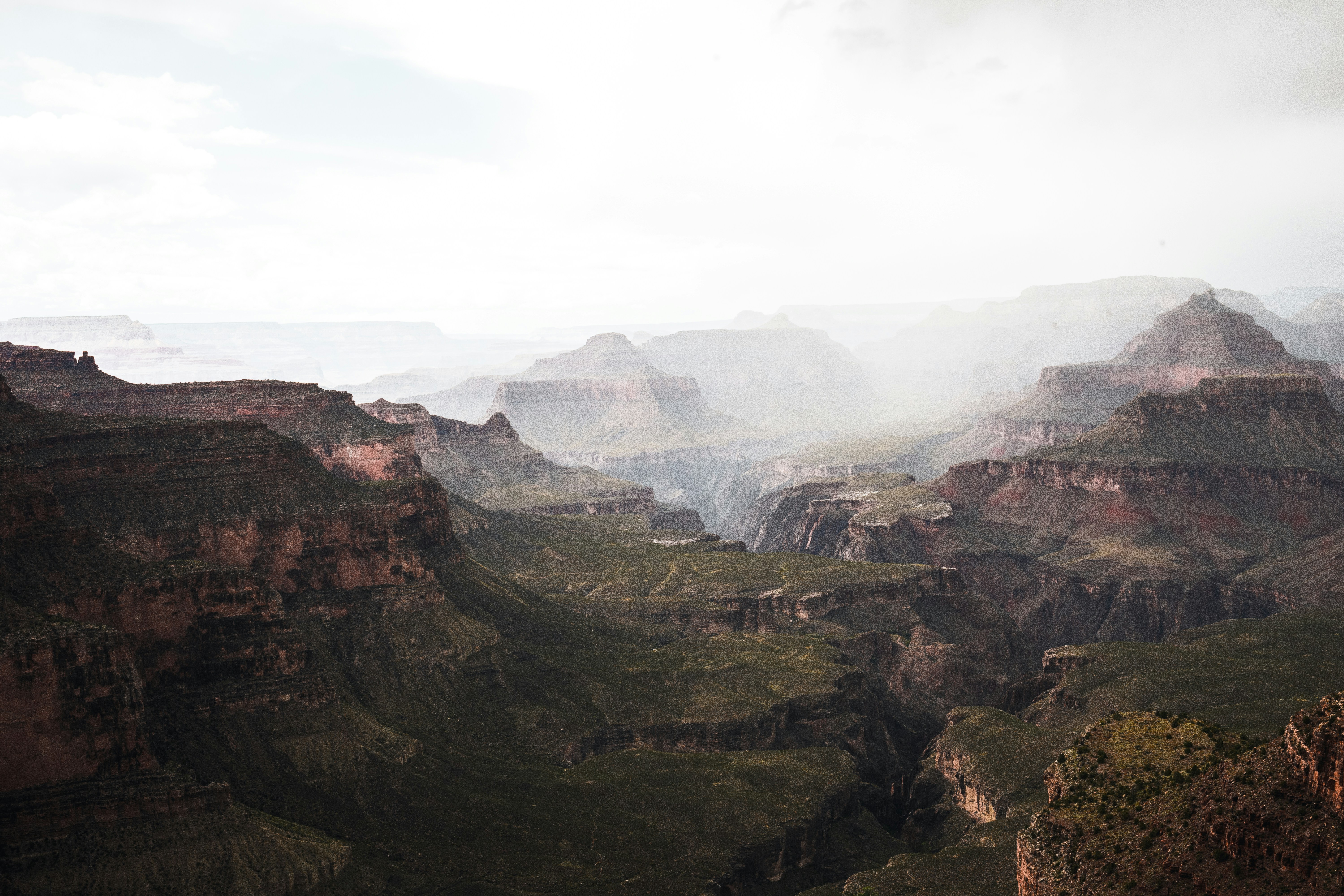 Photo by alexander_kaufmann