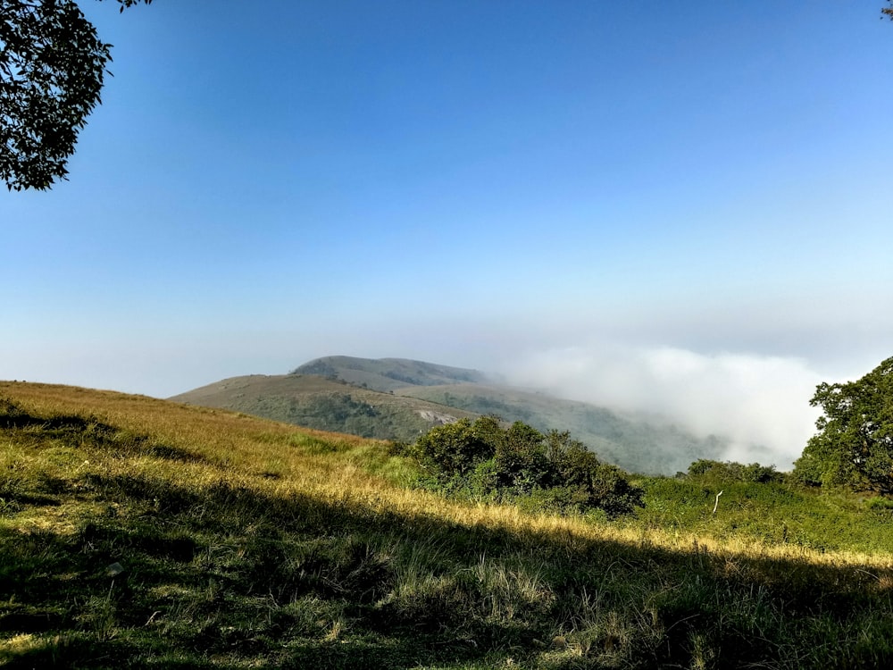 a grassy hill with trees and clouds