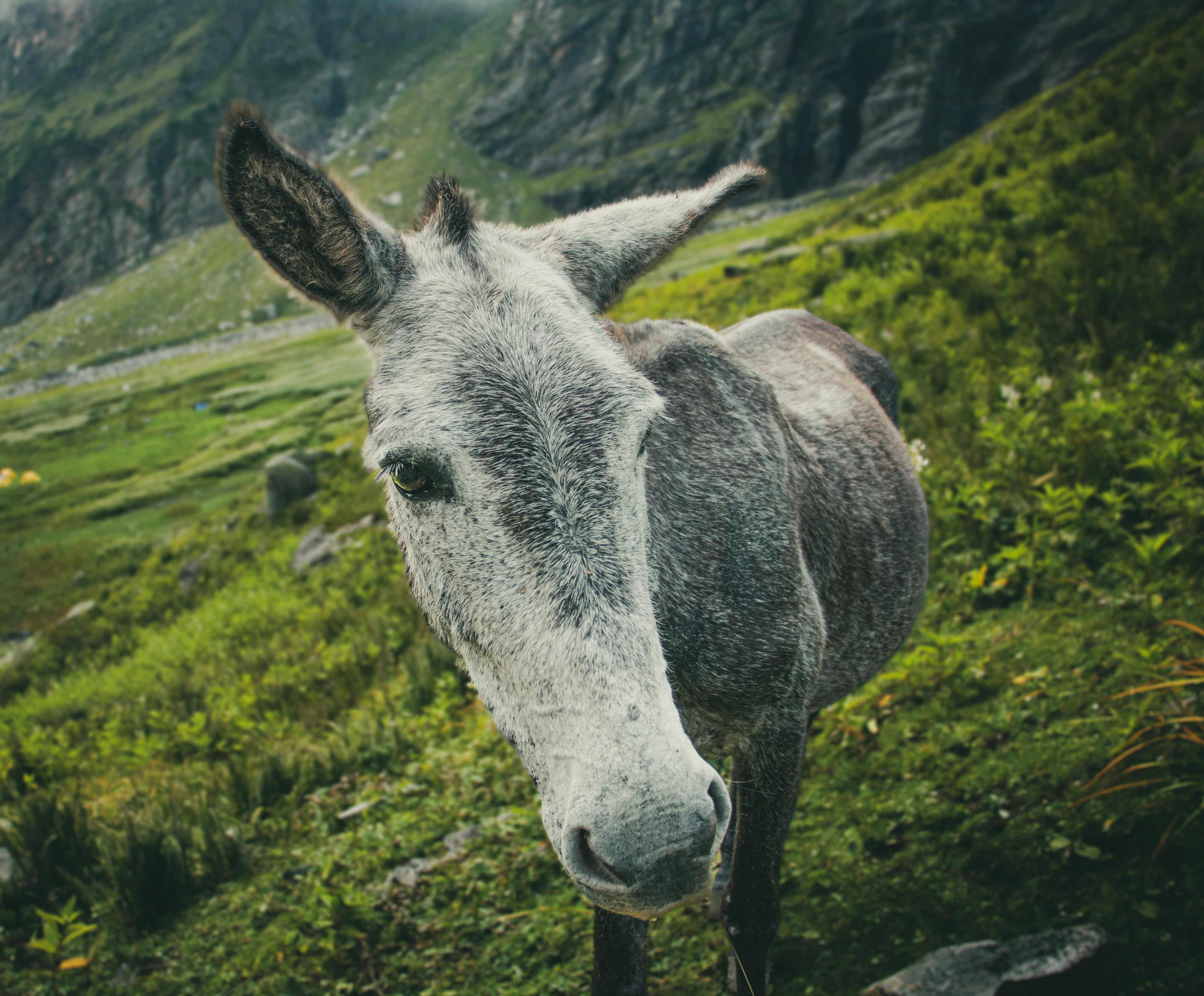 Photo by lakbychance