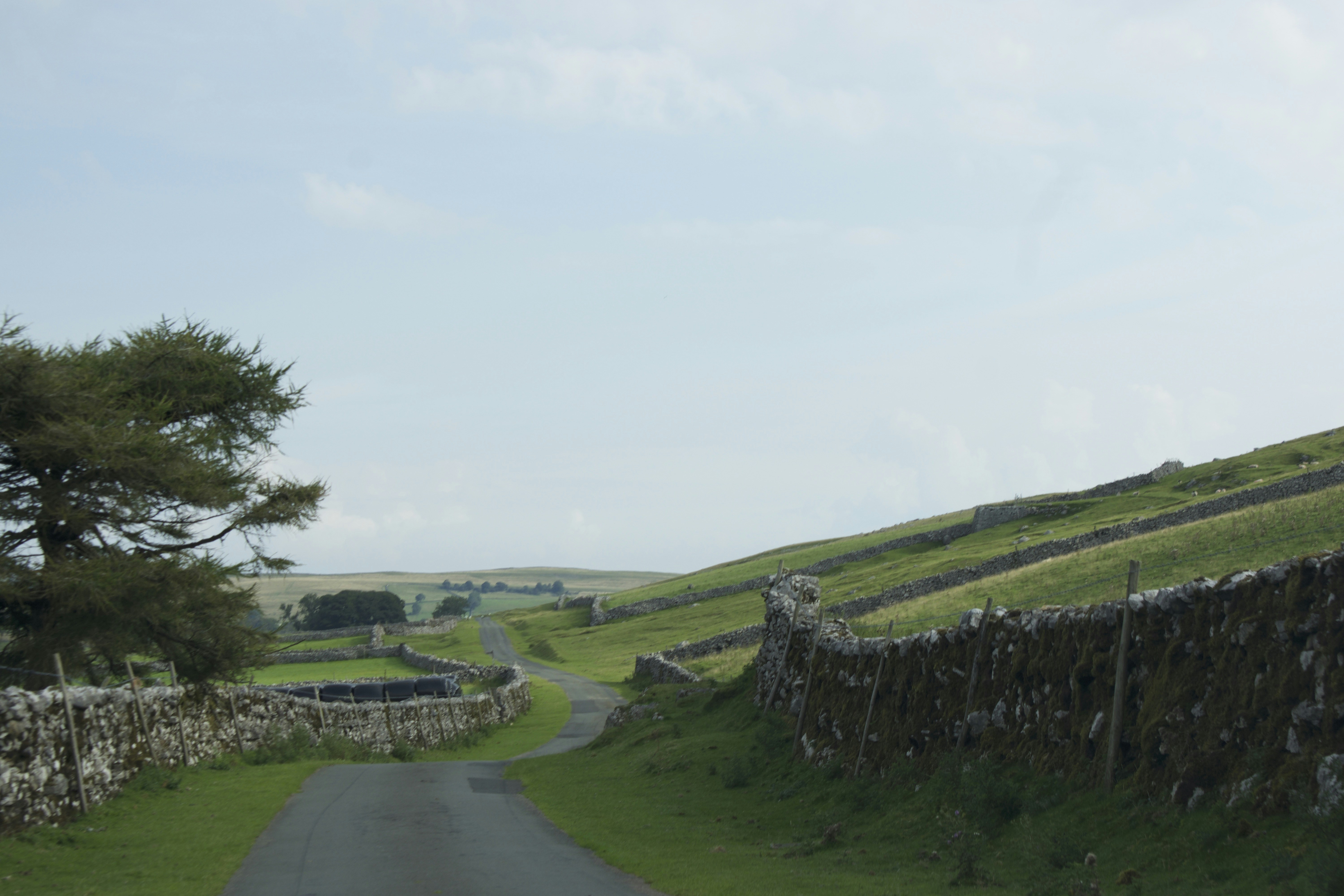 a road with grass and trees on the side