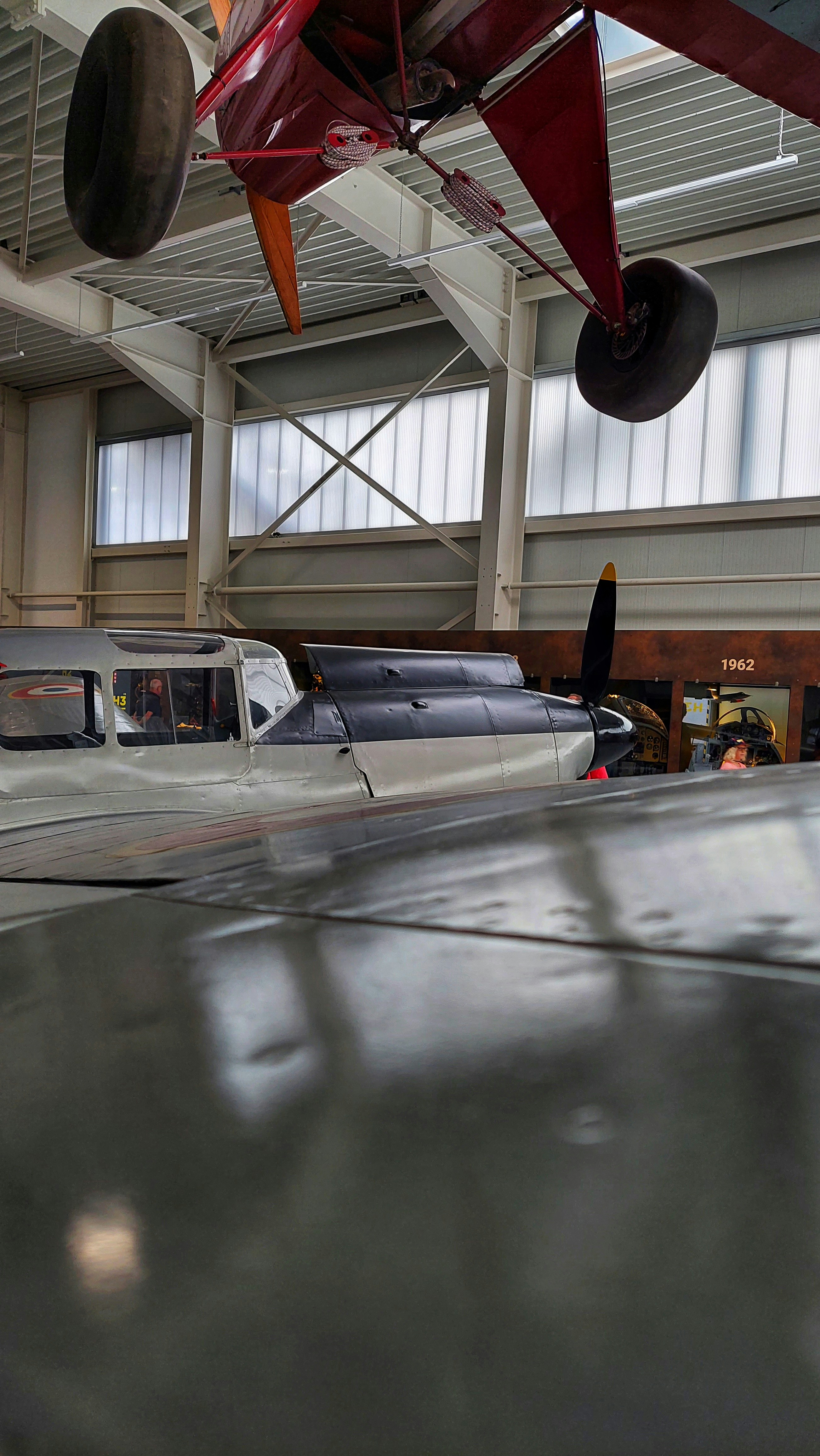 Photo by augustinfoto