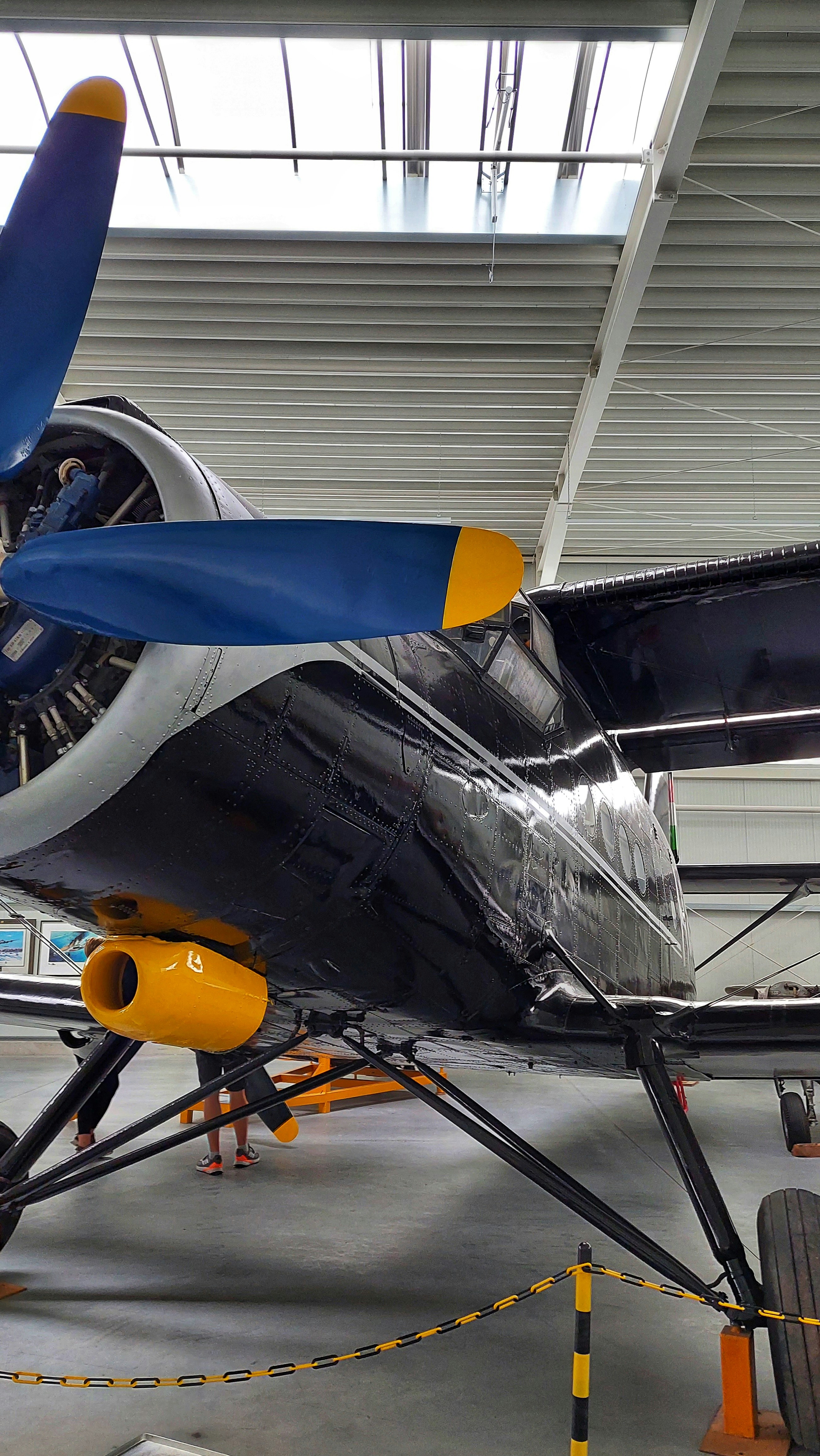 Photo by augustinfoto