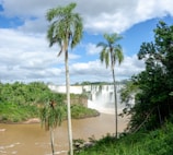 a beach with palm trees and a waterfall