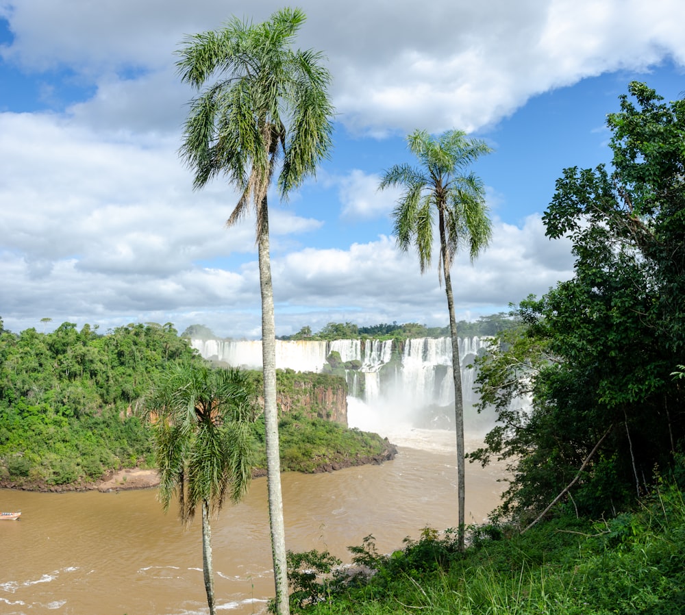 Ein Strand mit Palmen und einem Wasserfall