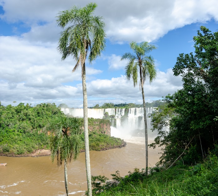 Cataratas del Iguazu selva tropical
