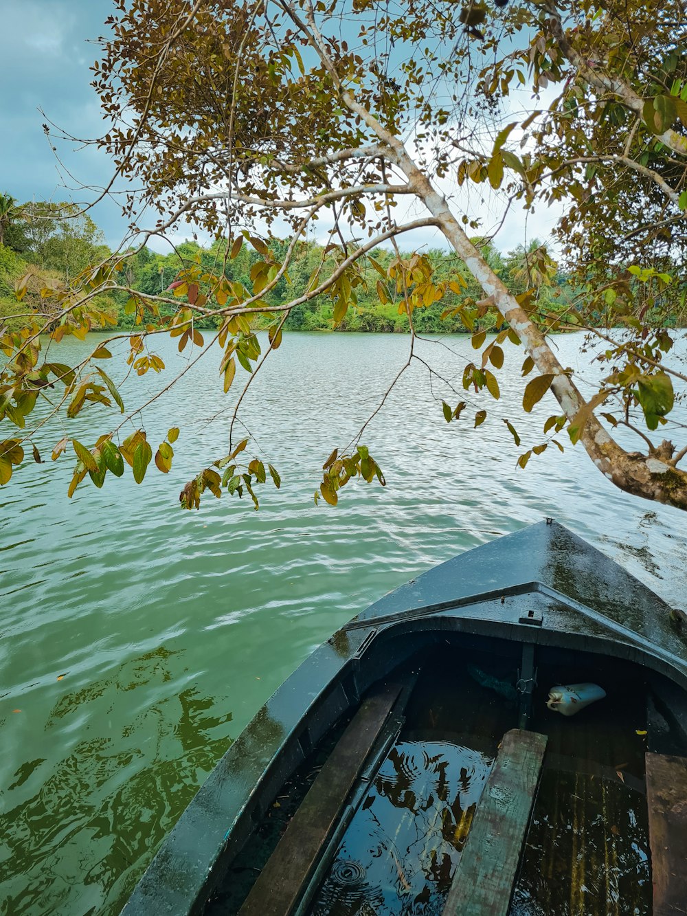 a boat on the water