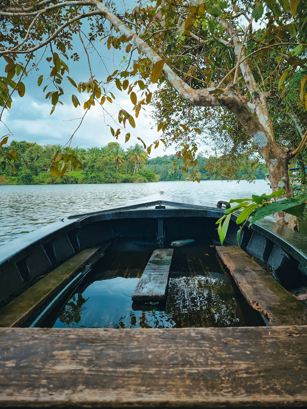 a bridge over a body of water