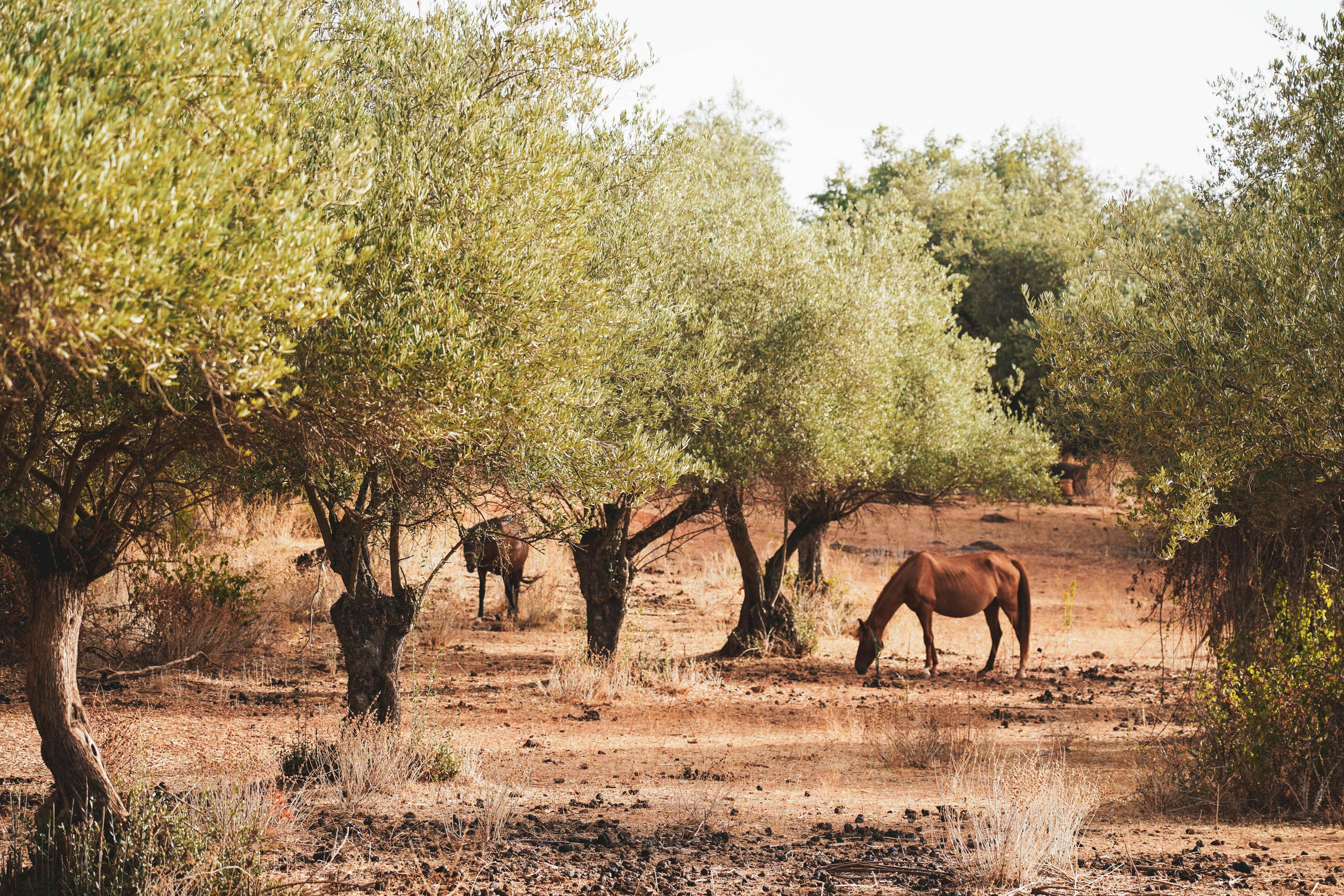 Photo by lesniakkaro