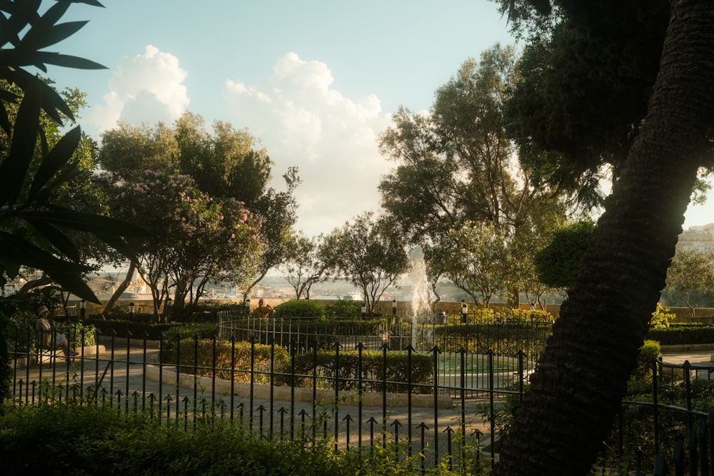 a fountain in a garden