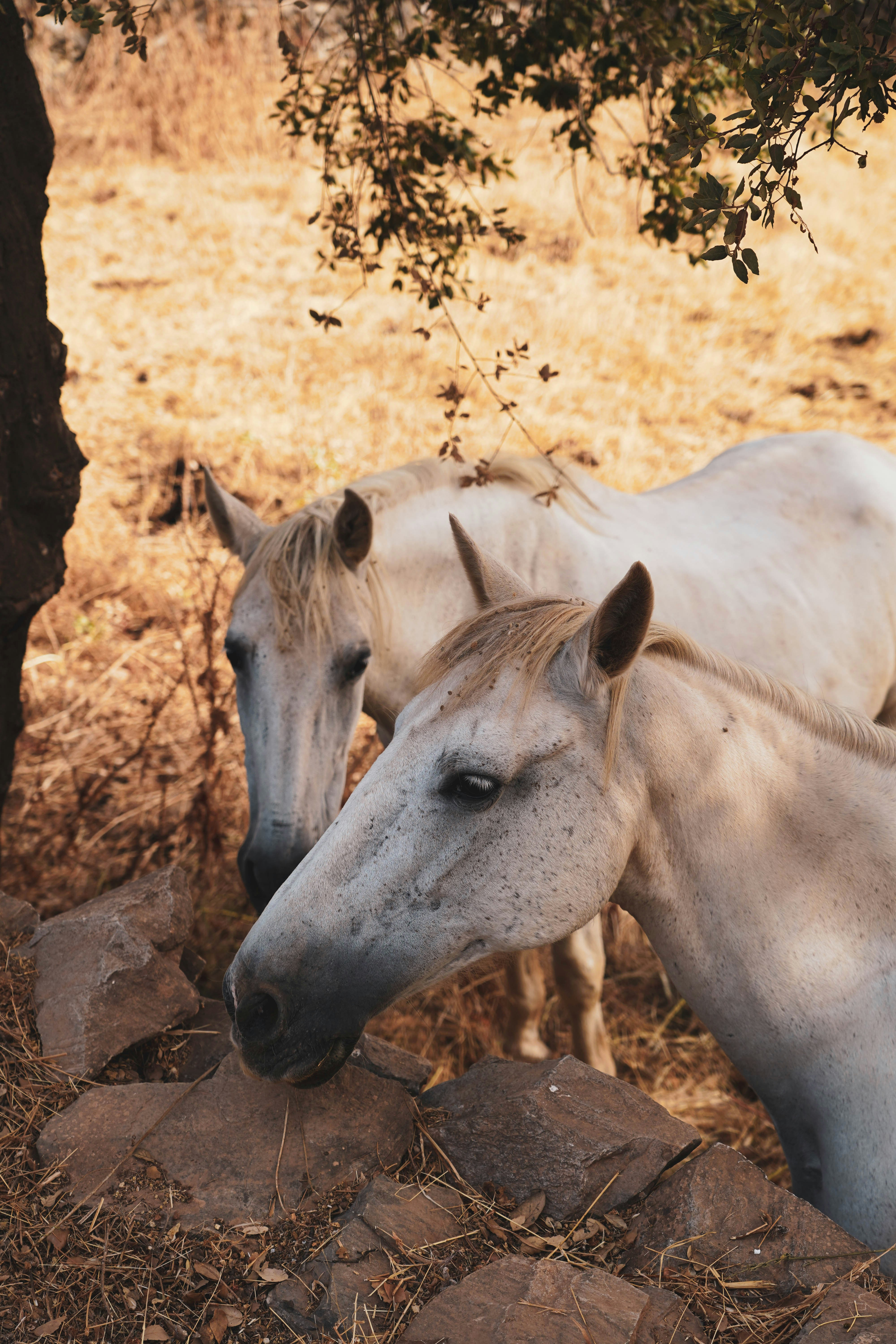 Photo by lesniakkaro