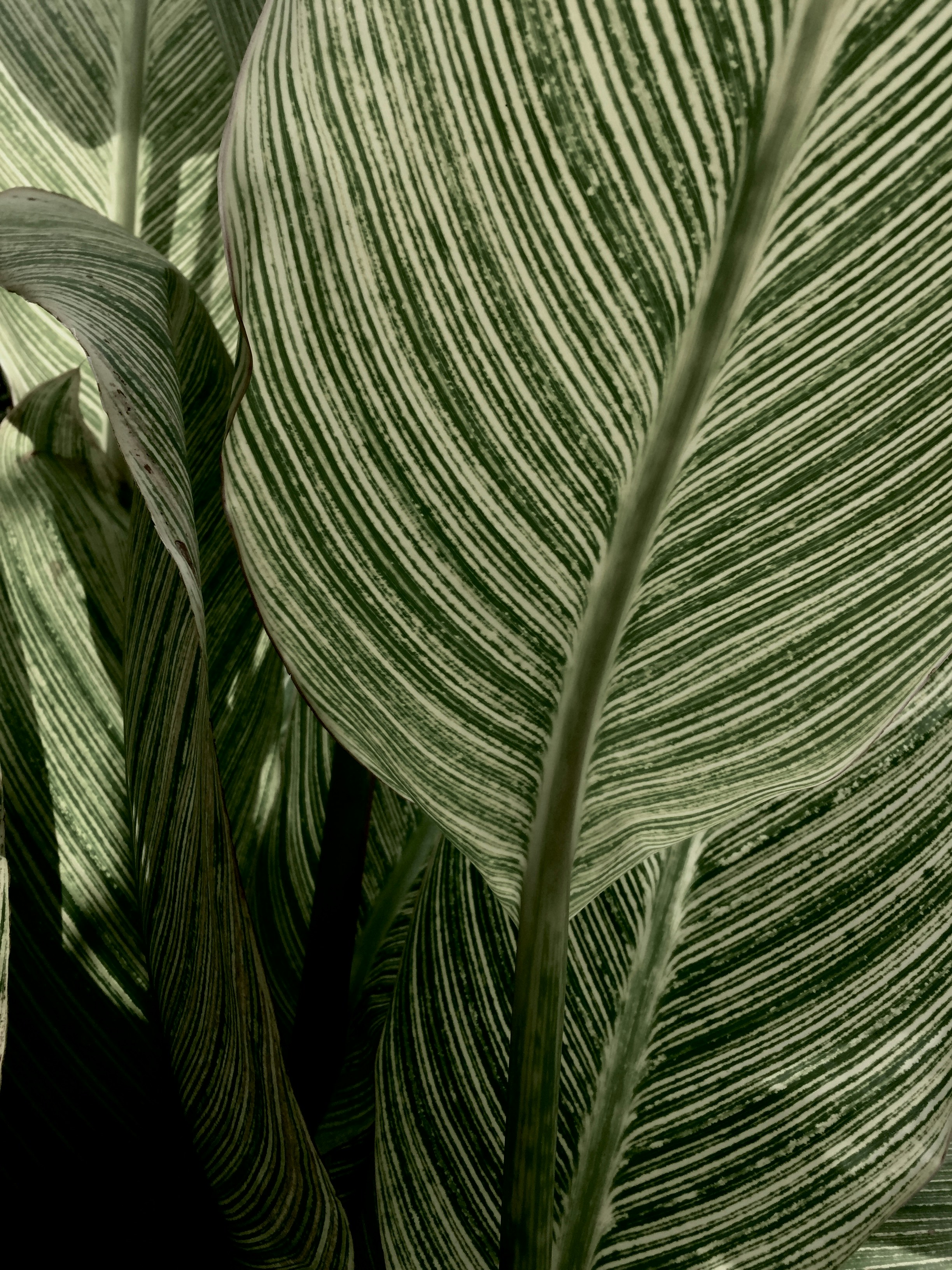 Photo by helgaethomas