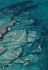 A group of people kayaking in the clear waters of La Paz.