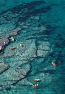 A group of people kayaking in the clear waters of La Paz.
