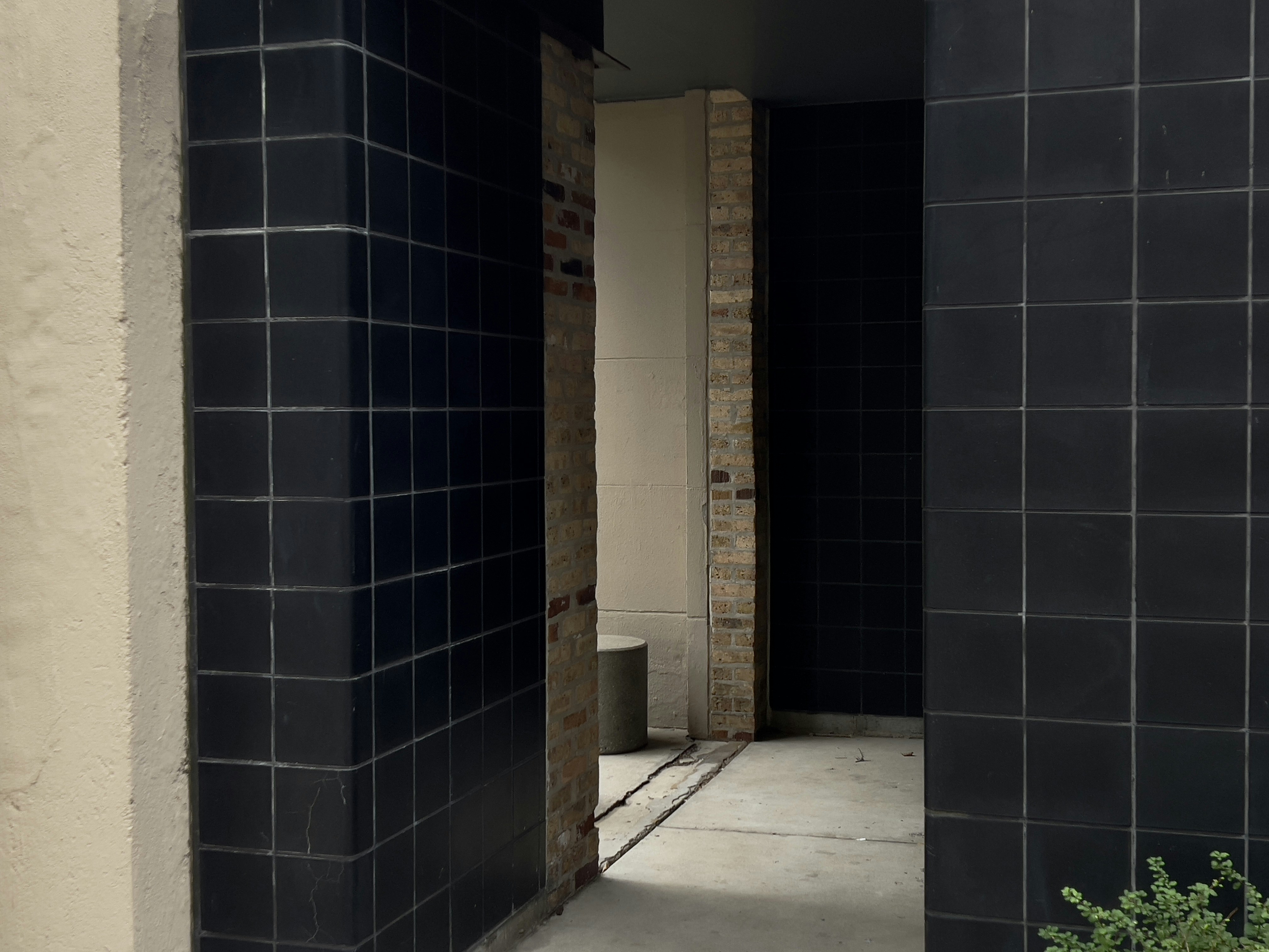 Photo by apaturairis