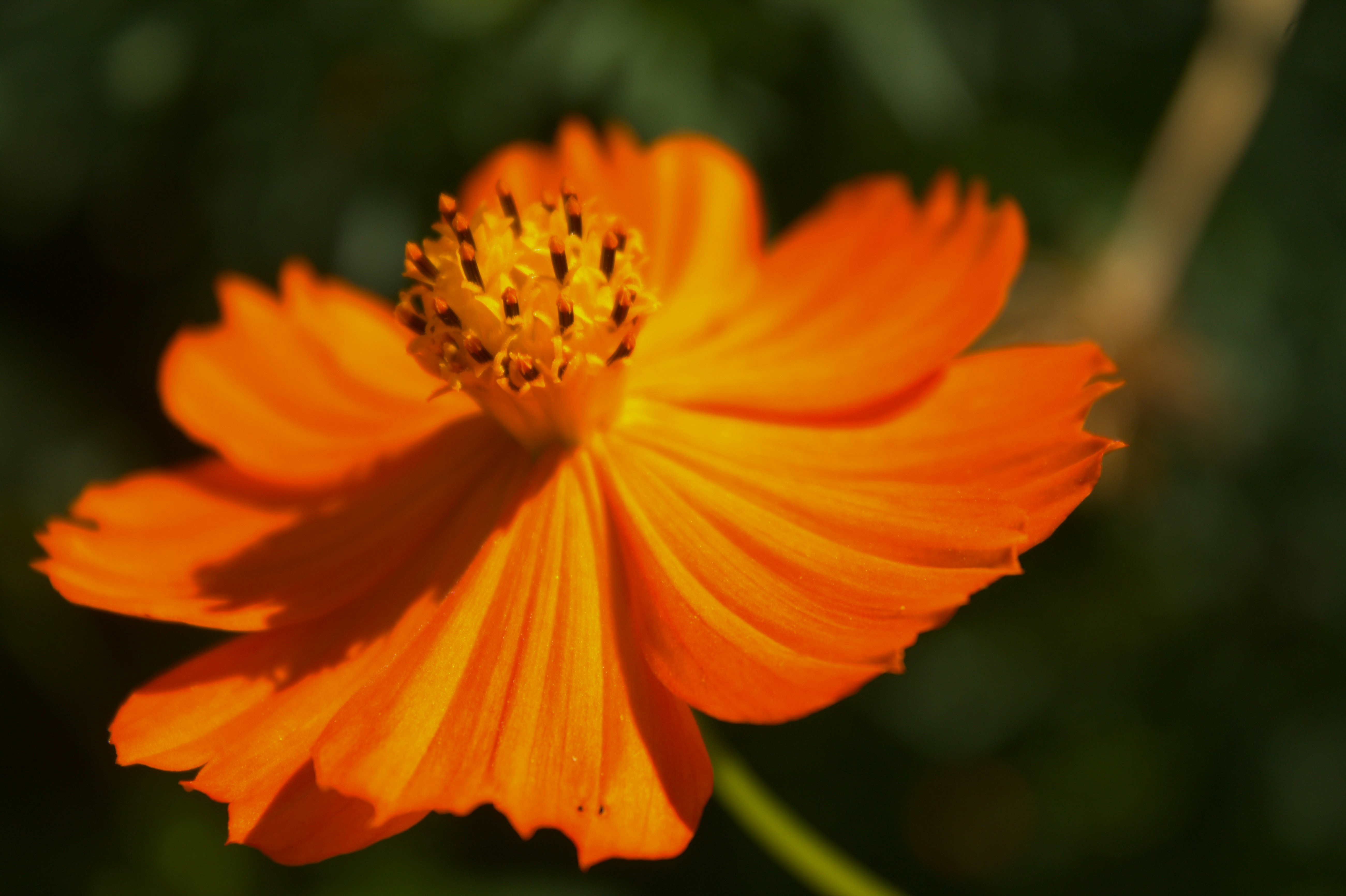 Photo by theodorou_dionisis