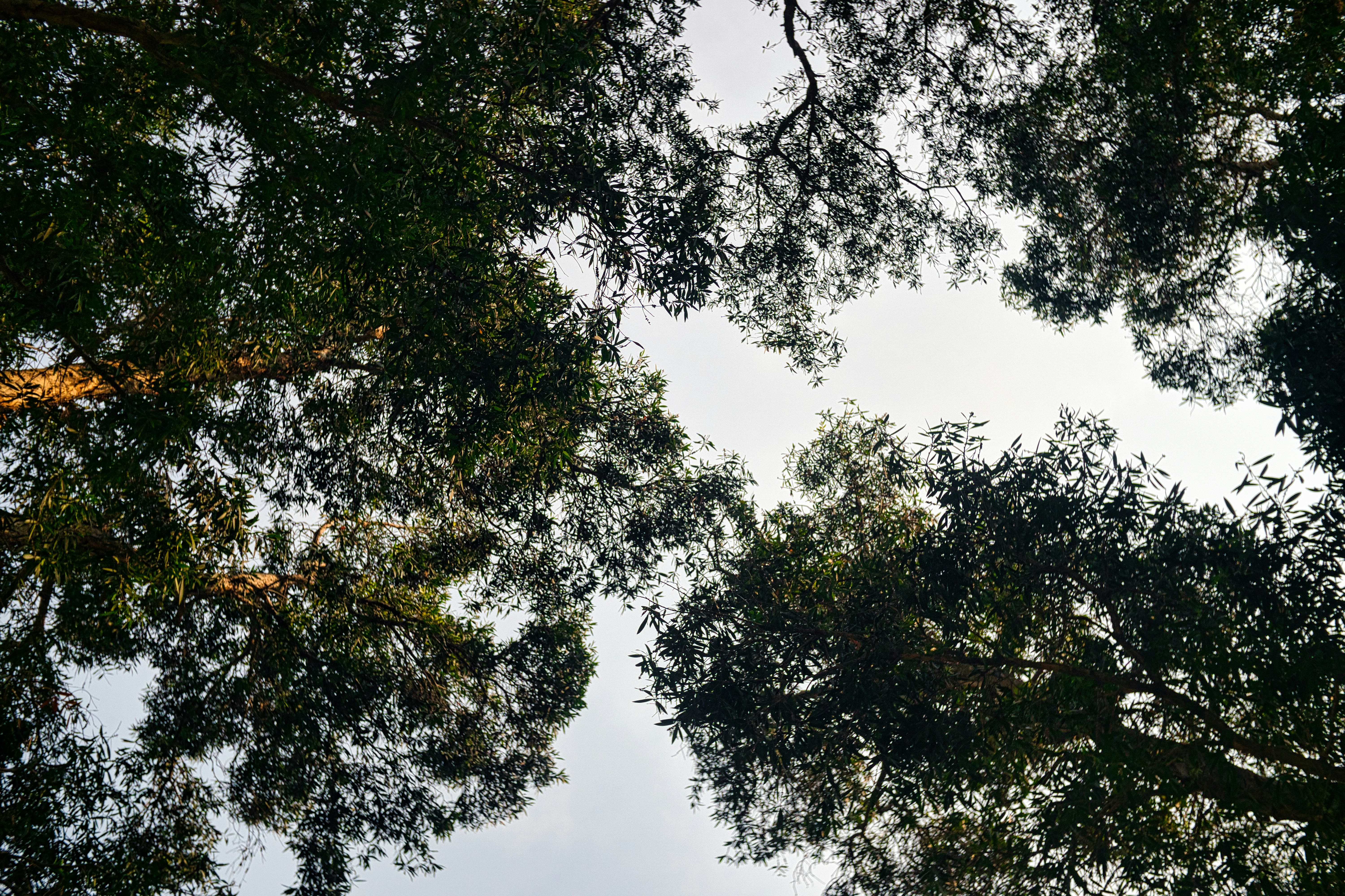 Photo by thomaskinto