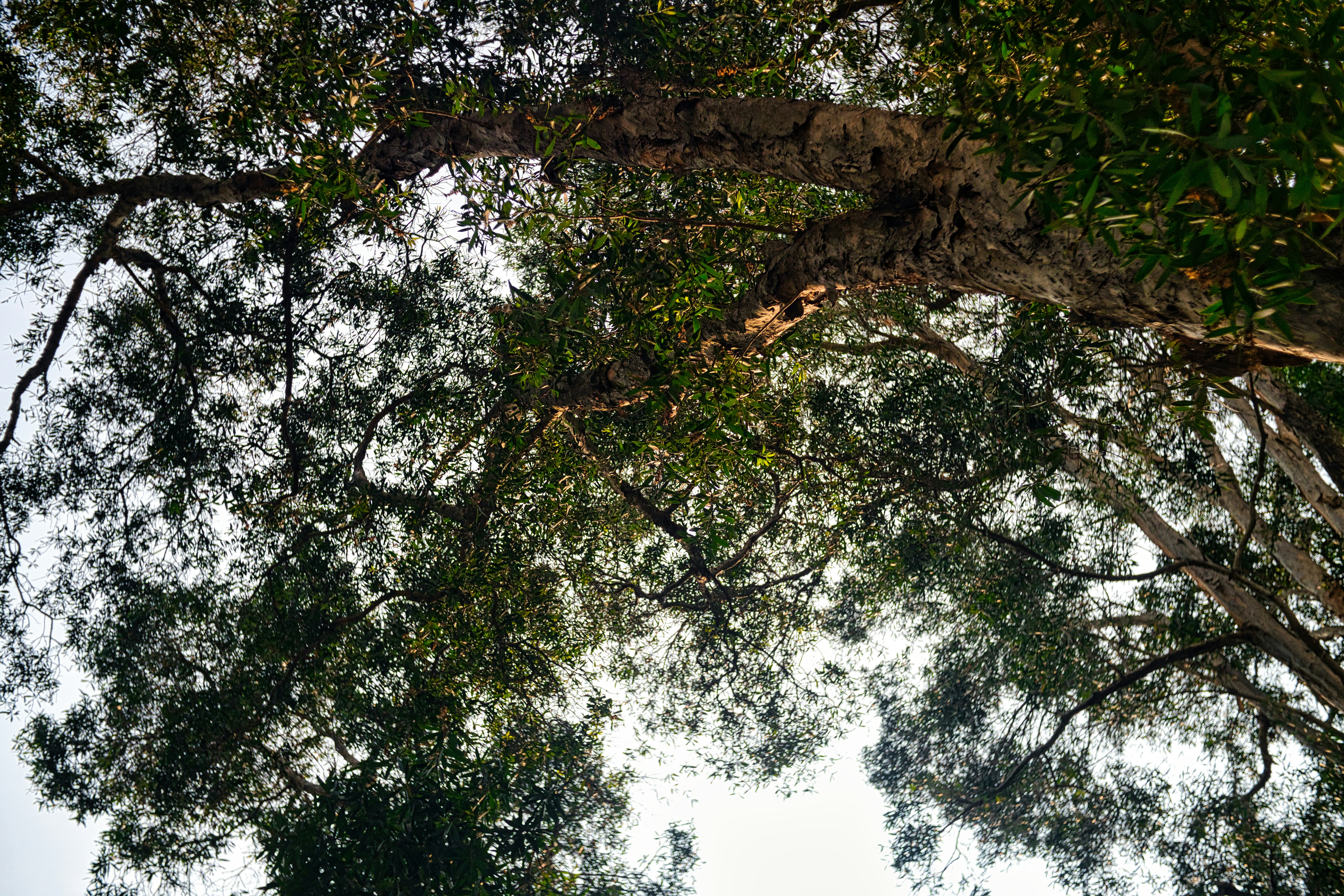 Photo by thomaskinto