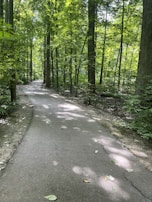 A peaceful forest trail winding through gentle hills perfect for cycling and walking.