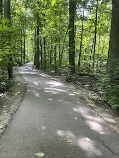 A scenic hiking trail winding through lush green forests, perfect for low-energy adventurers.