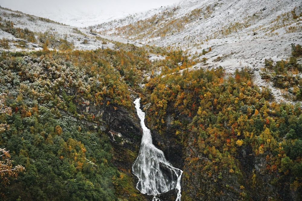 a waterfall in a forest