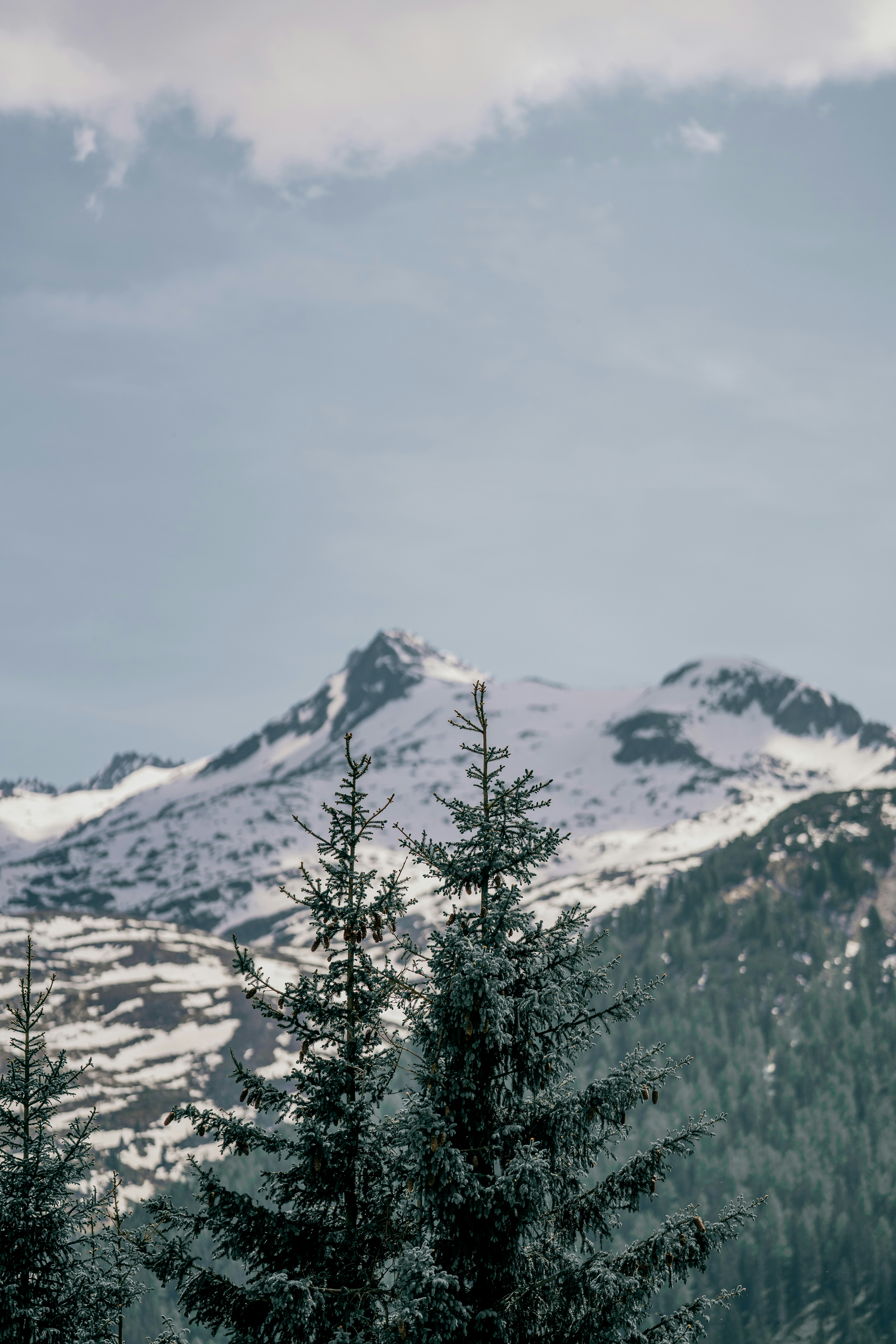 Photo by omarvellous14