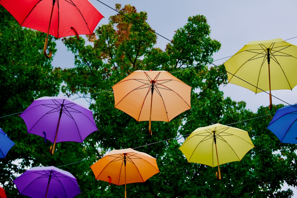 Un grupo de paraguas de colores