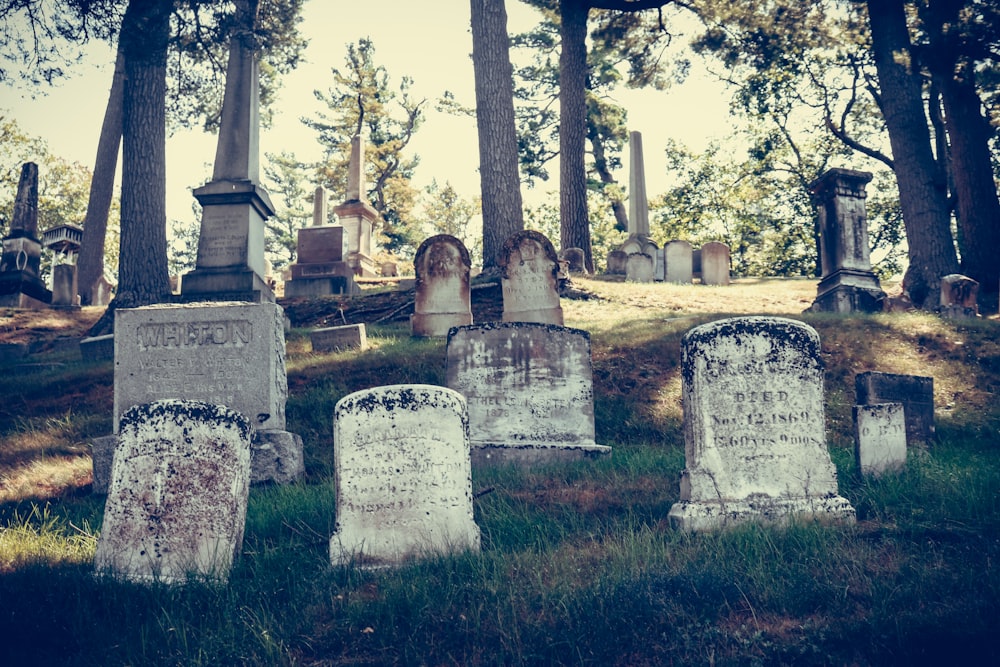 a cemetery with many tombstones