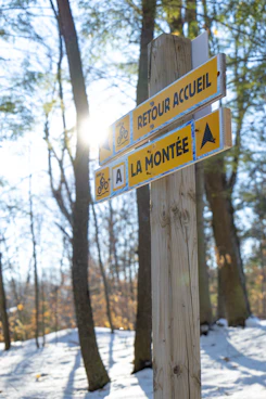 a street sign on a wooden post