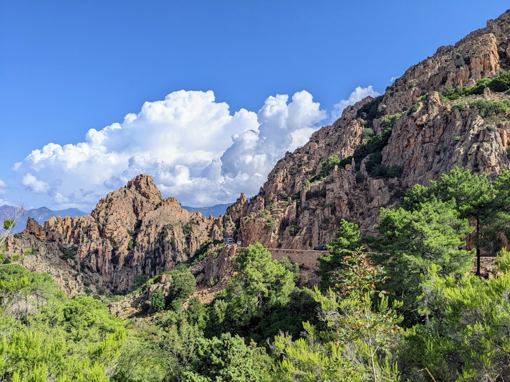 a rocky mountain with trees