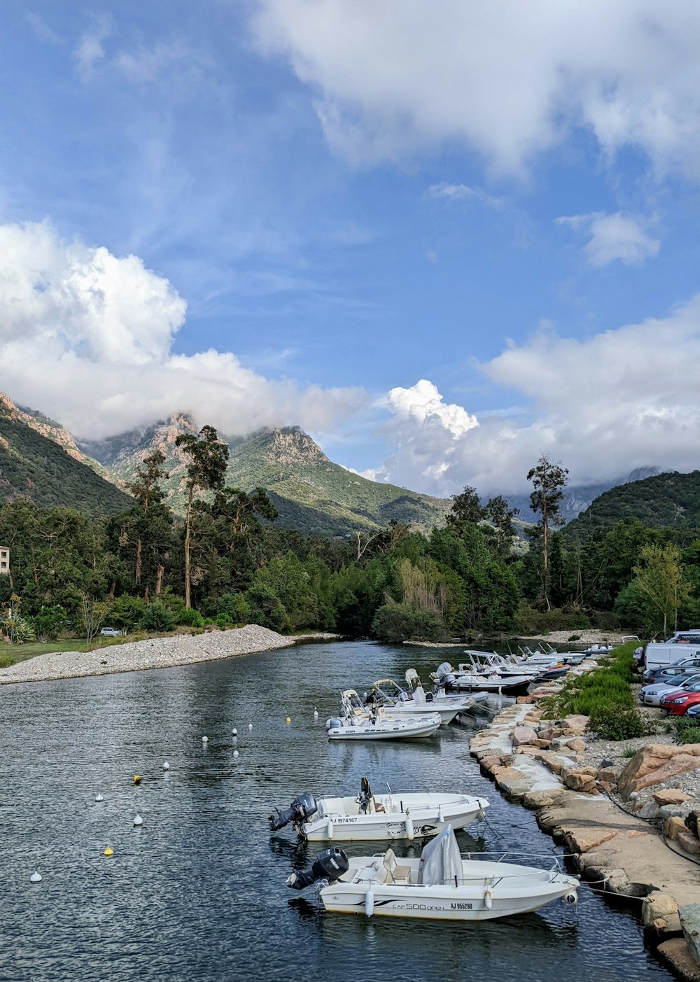 boats on the water