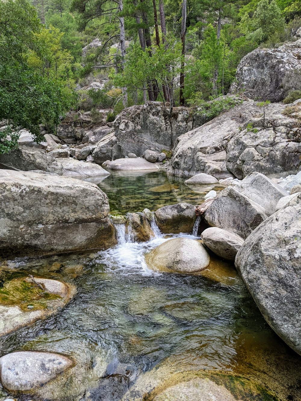 a river with rocks and trees