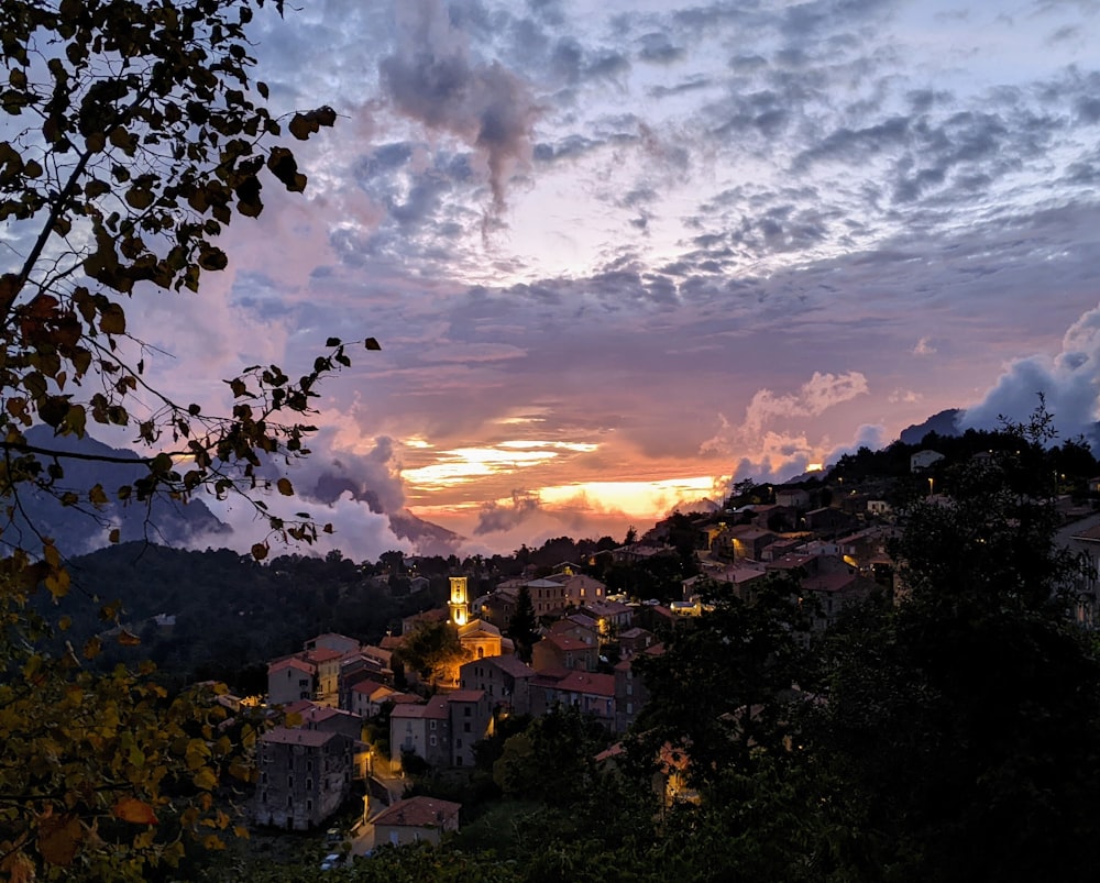 a city with trees and a sunset