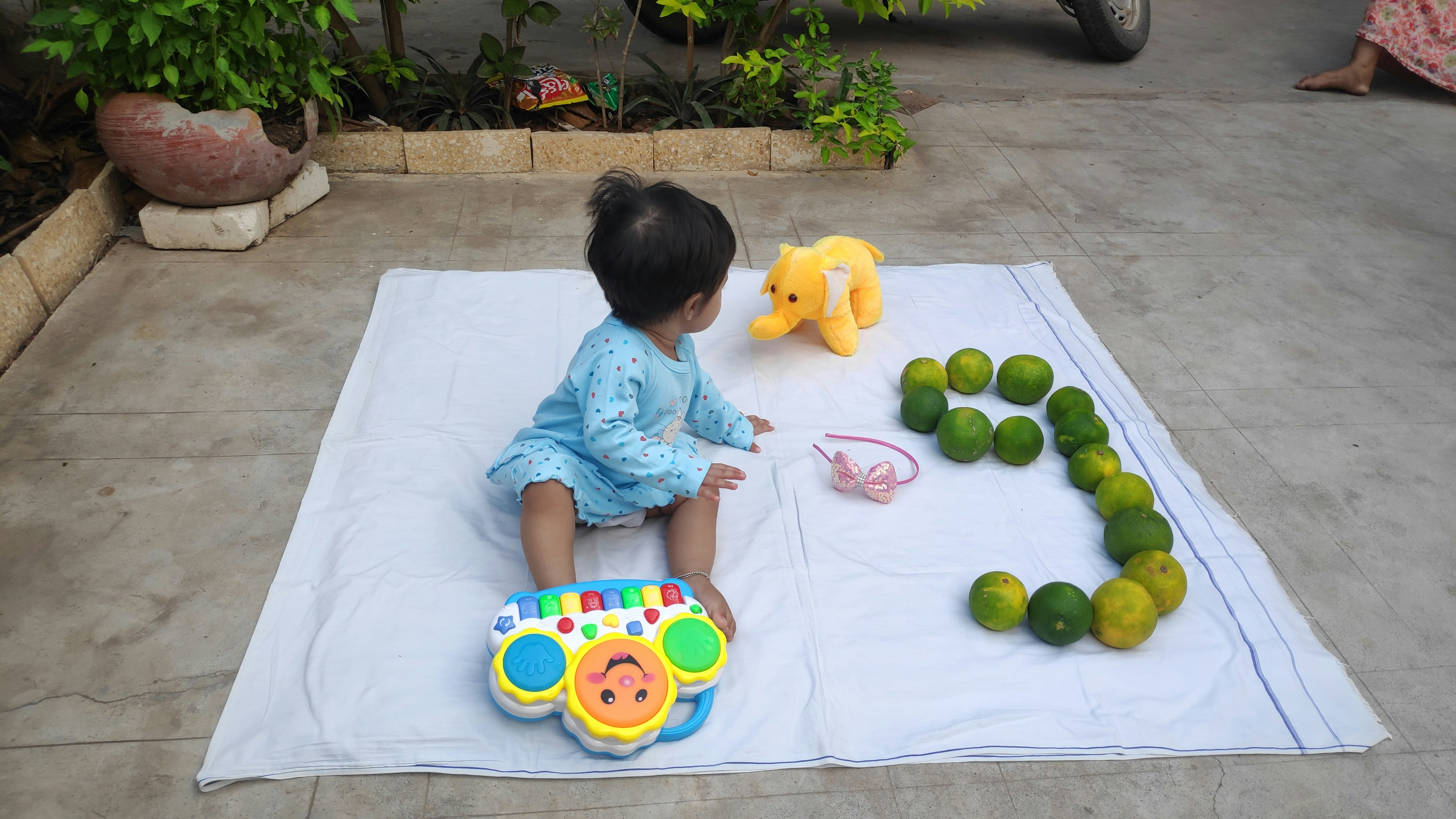 photo-1662916269393-86a84eefb9da