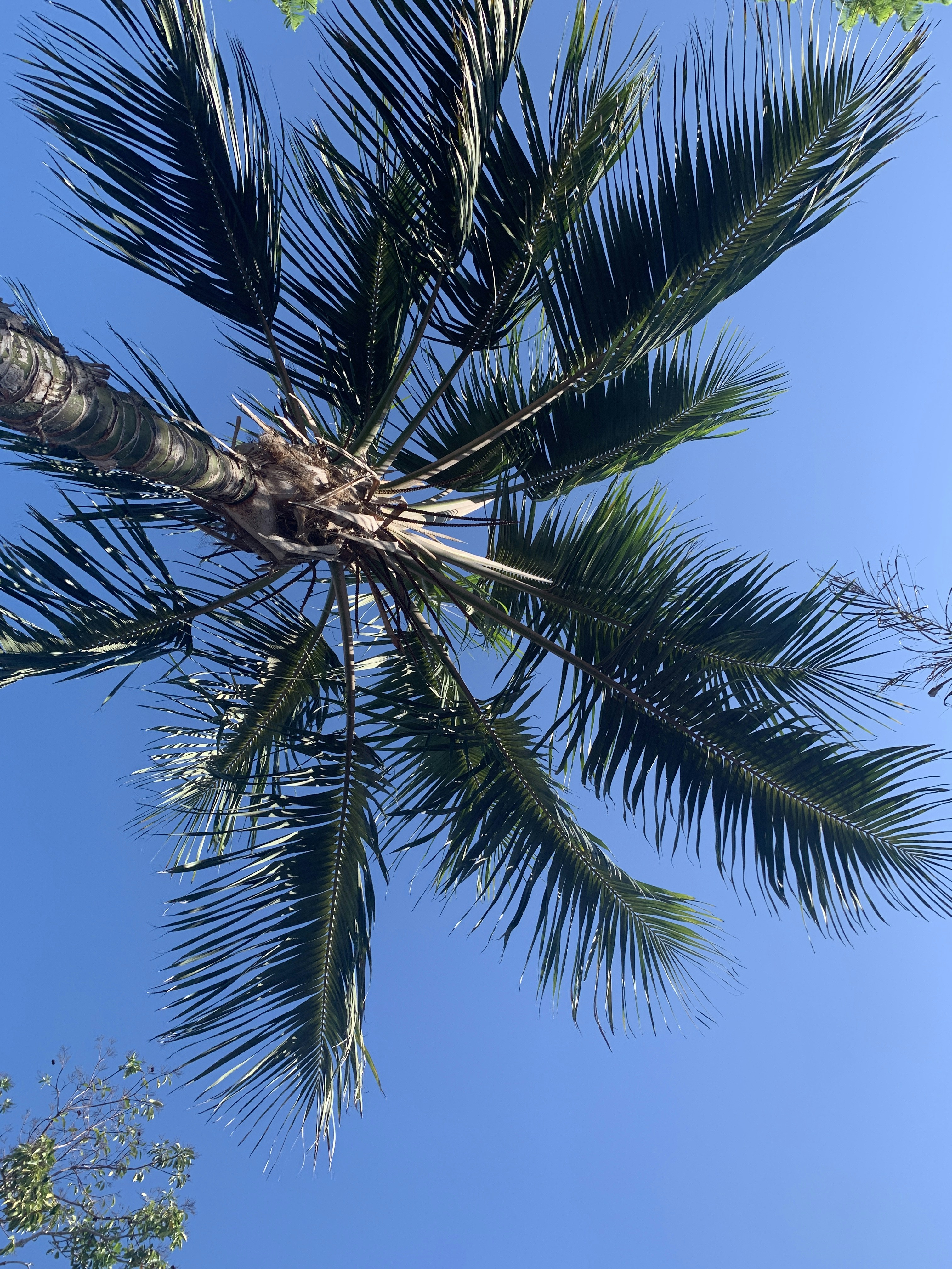 Photo by renemolenkamp