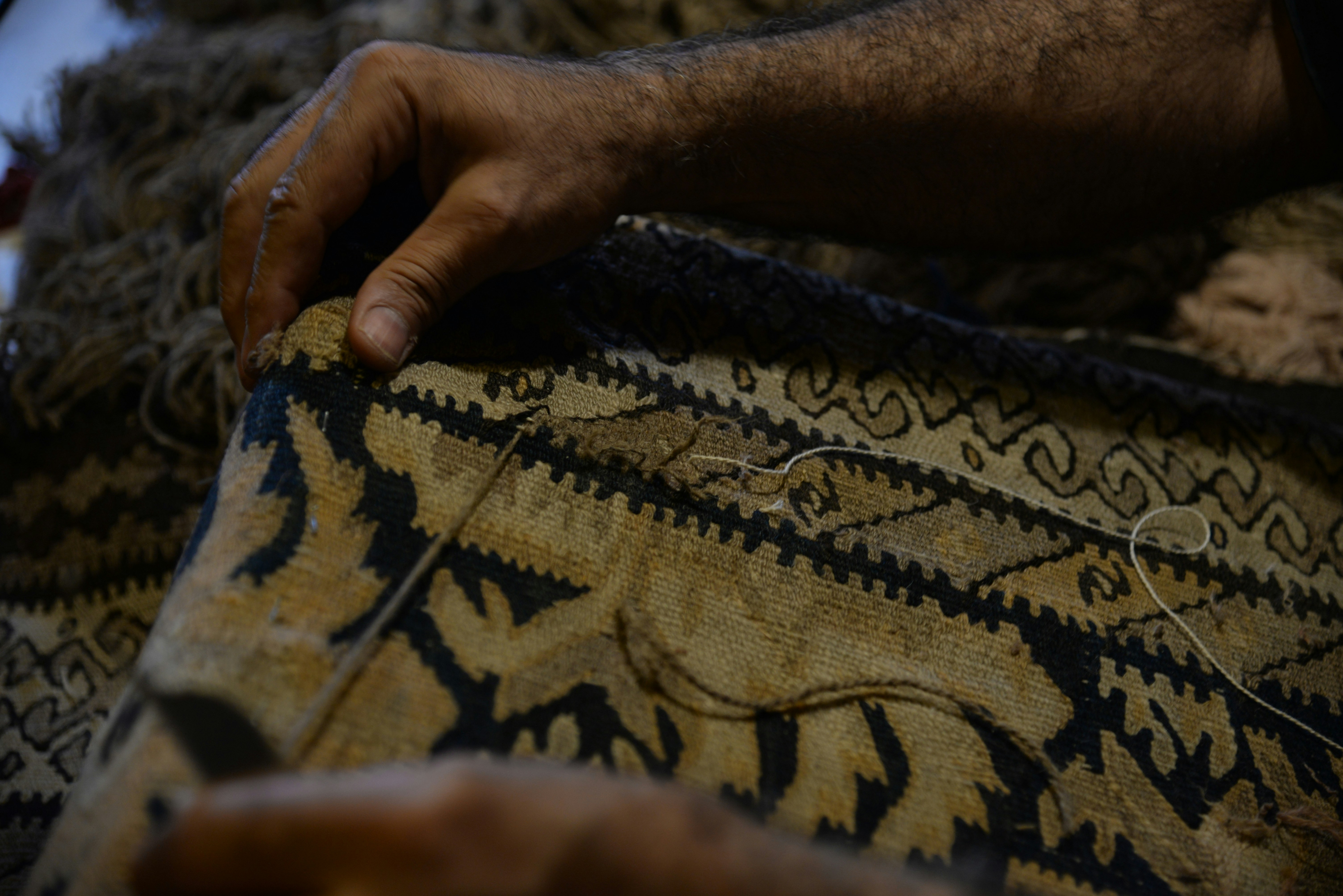 Photo by zahrarahimzadeh