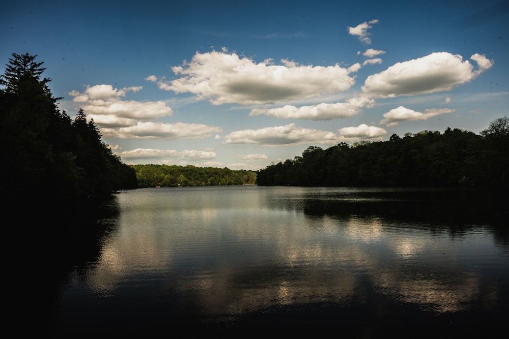 a body of water with trees around it