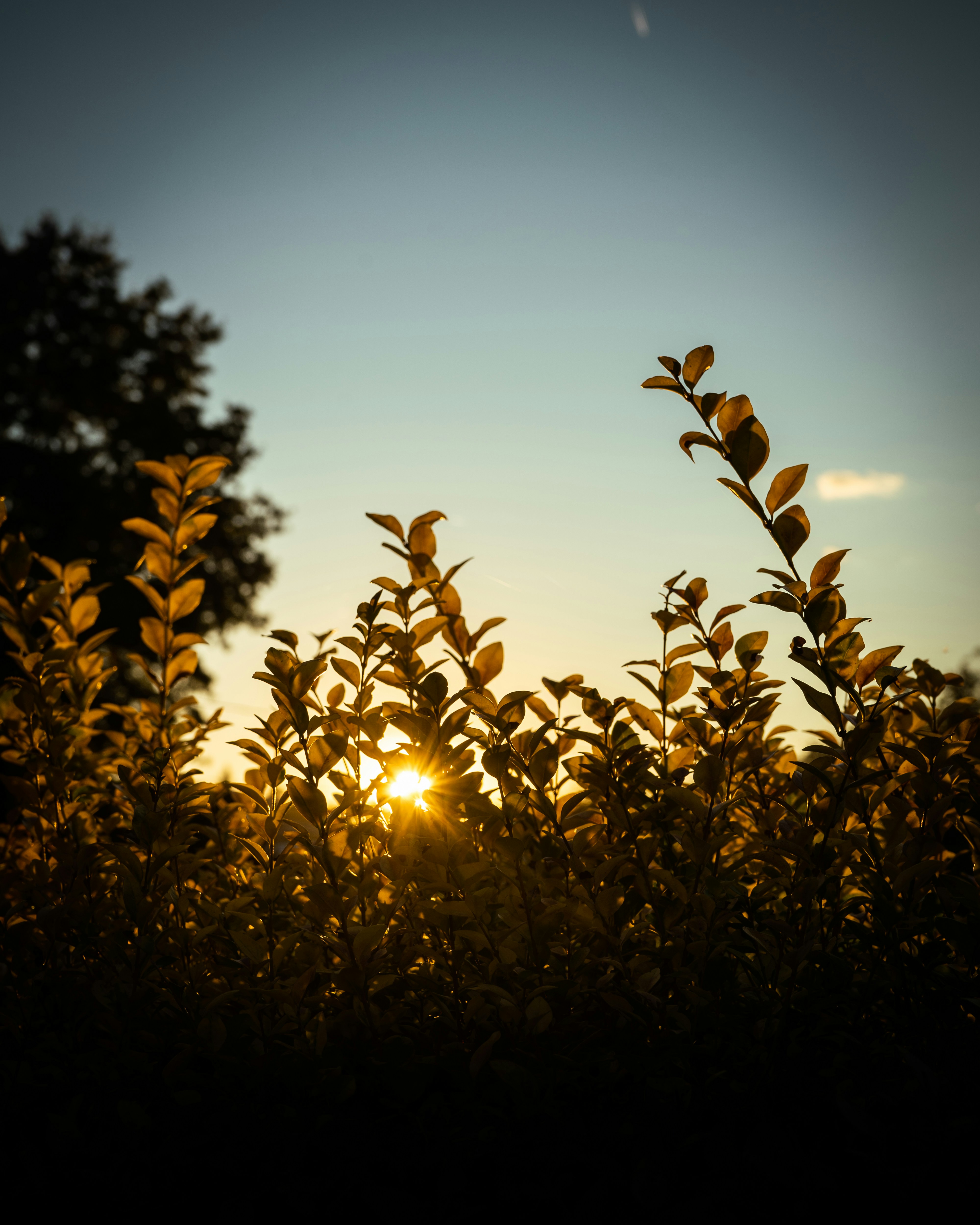 Photo by aurlaw