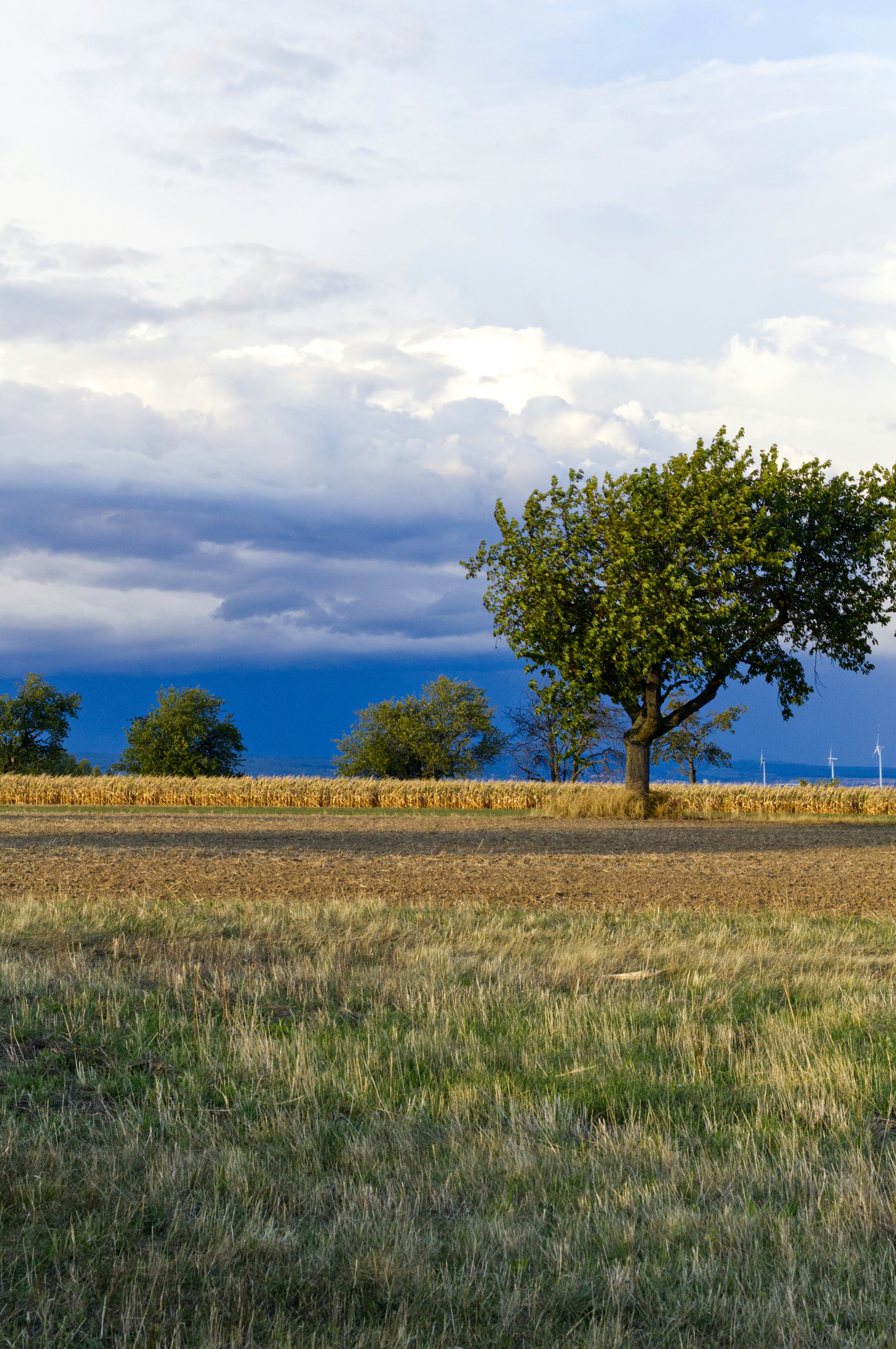 Photo by einthomas