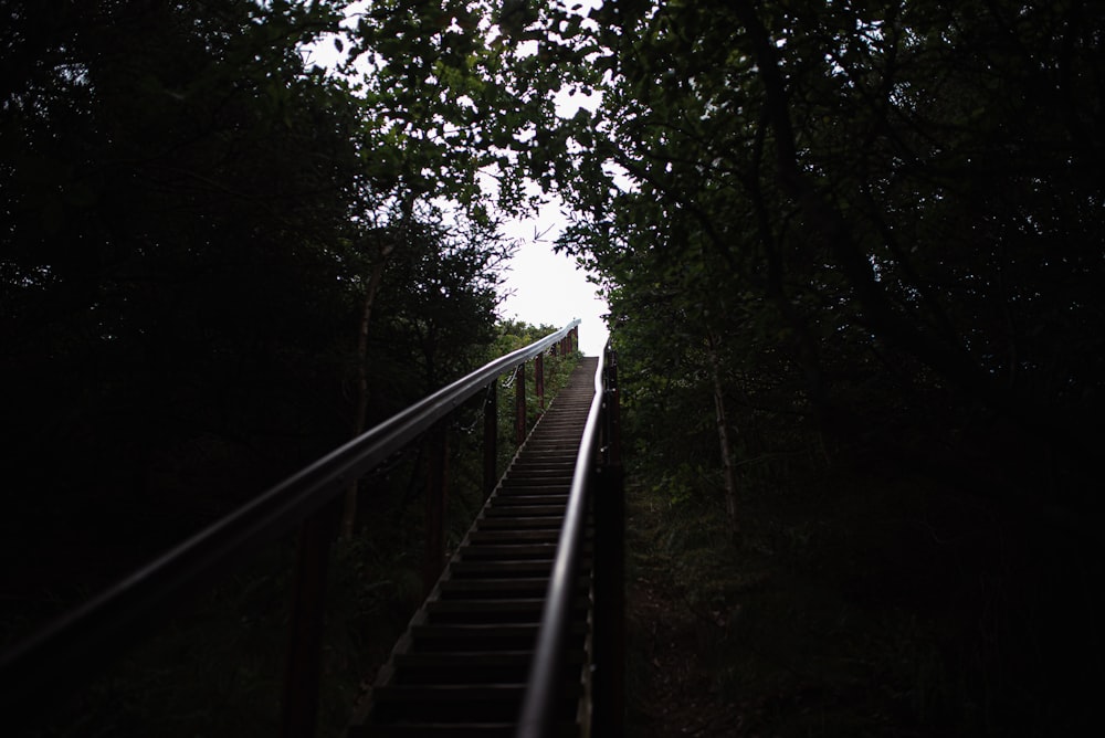 a staircase in a forest
