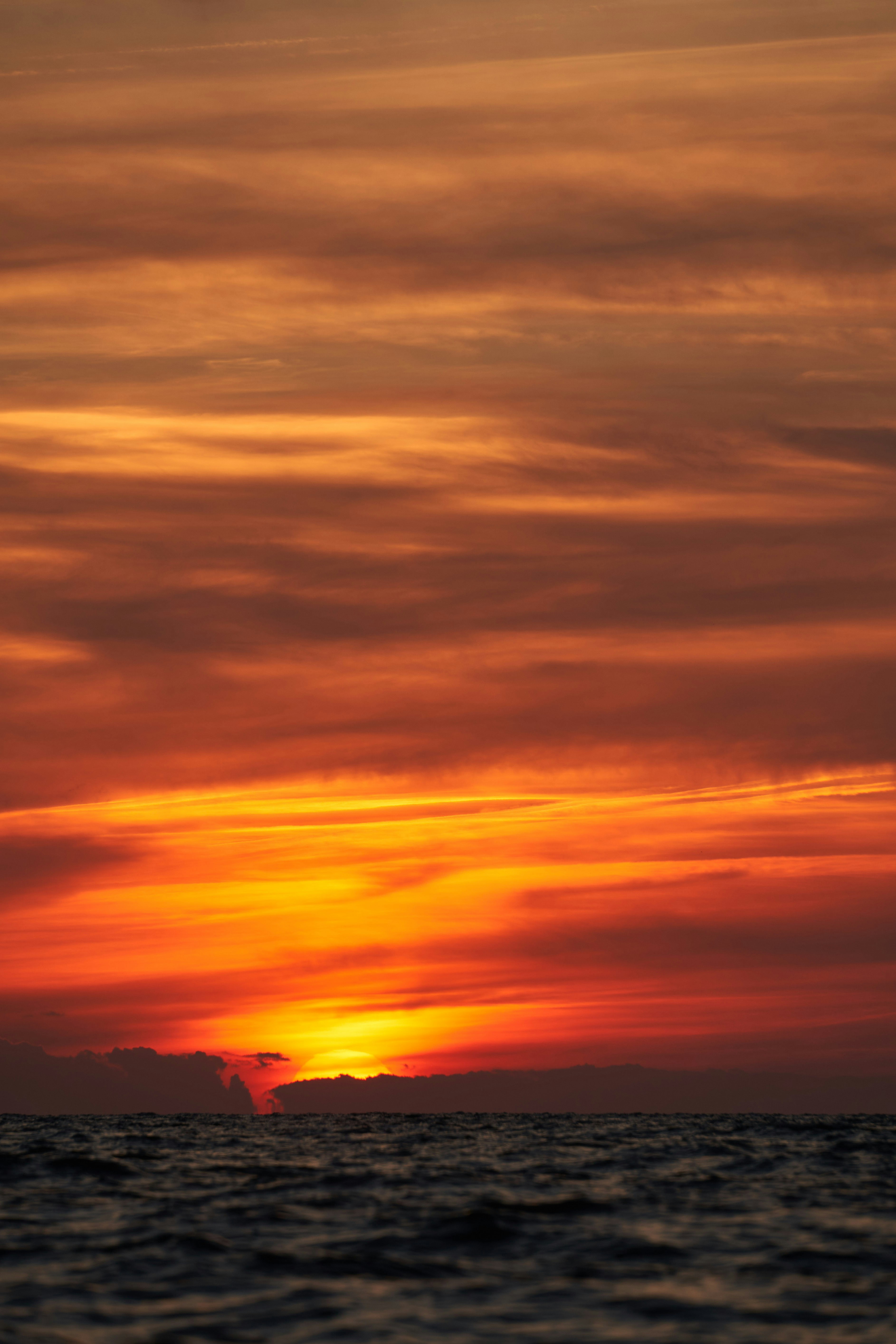 Photo by wolfgang_hasselmann