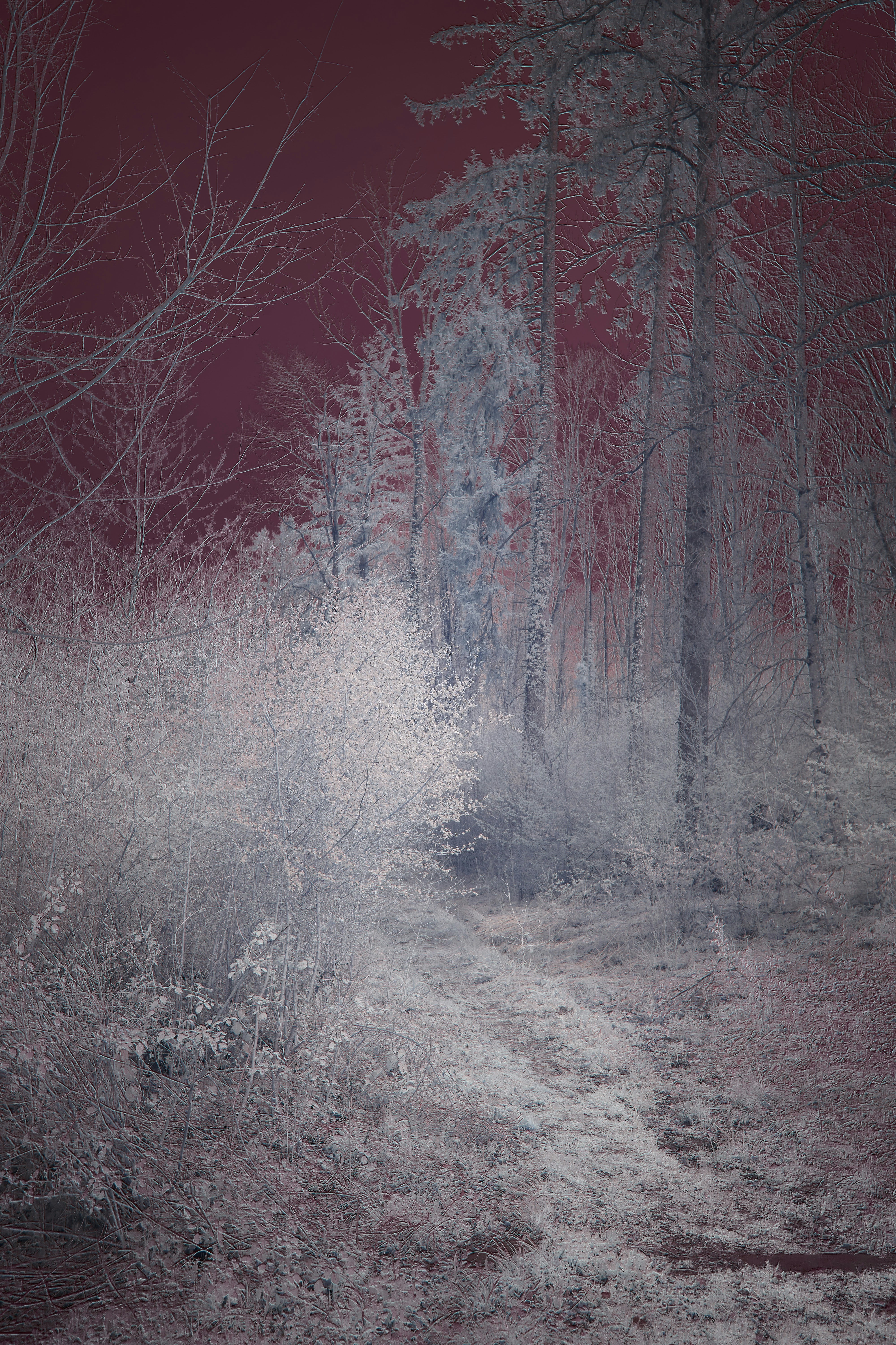 Photo by wolfgang_hasselmann