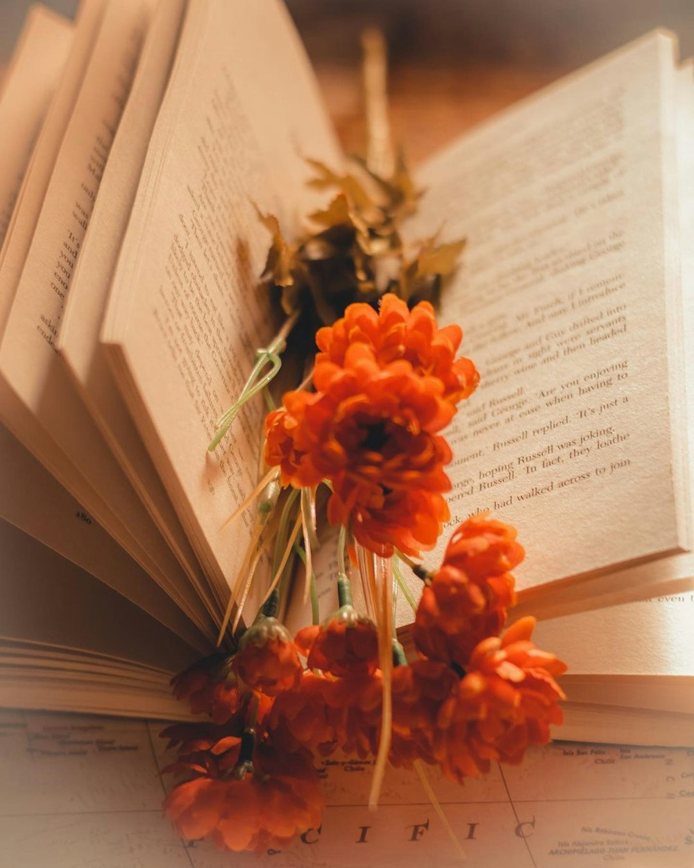 a group of orange flowers