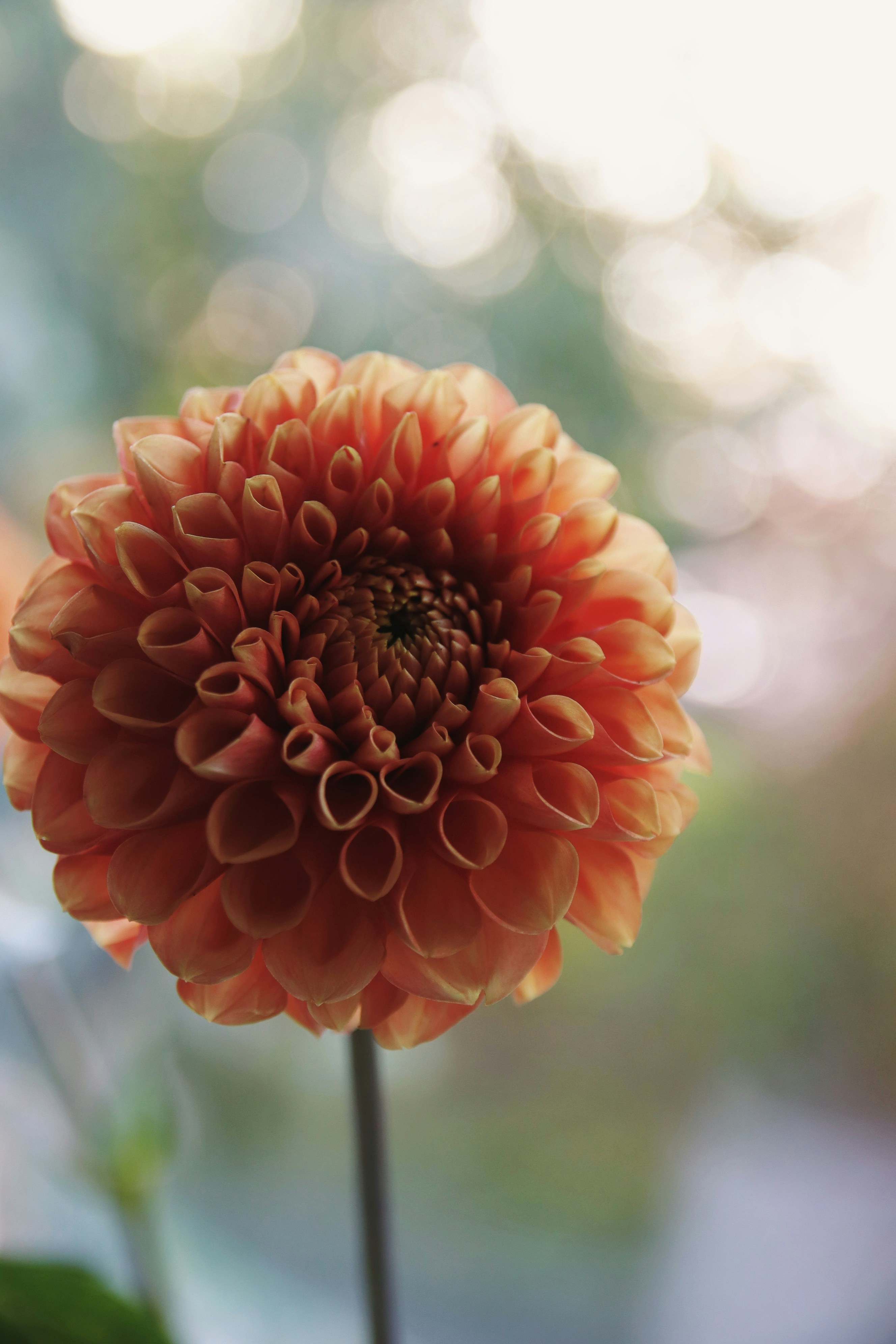 Photo by feeling_hope