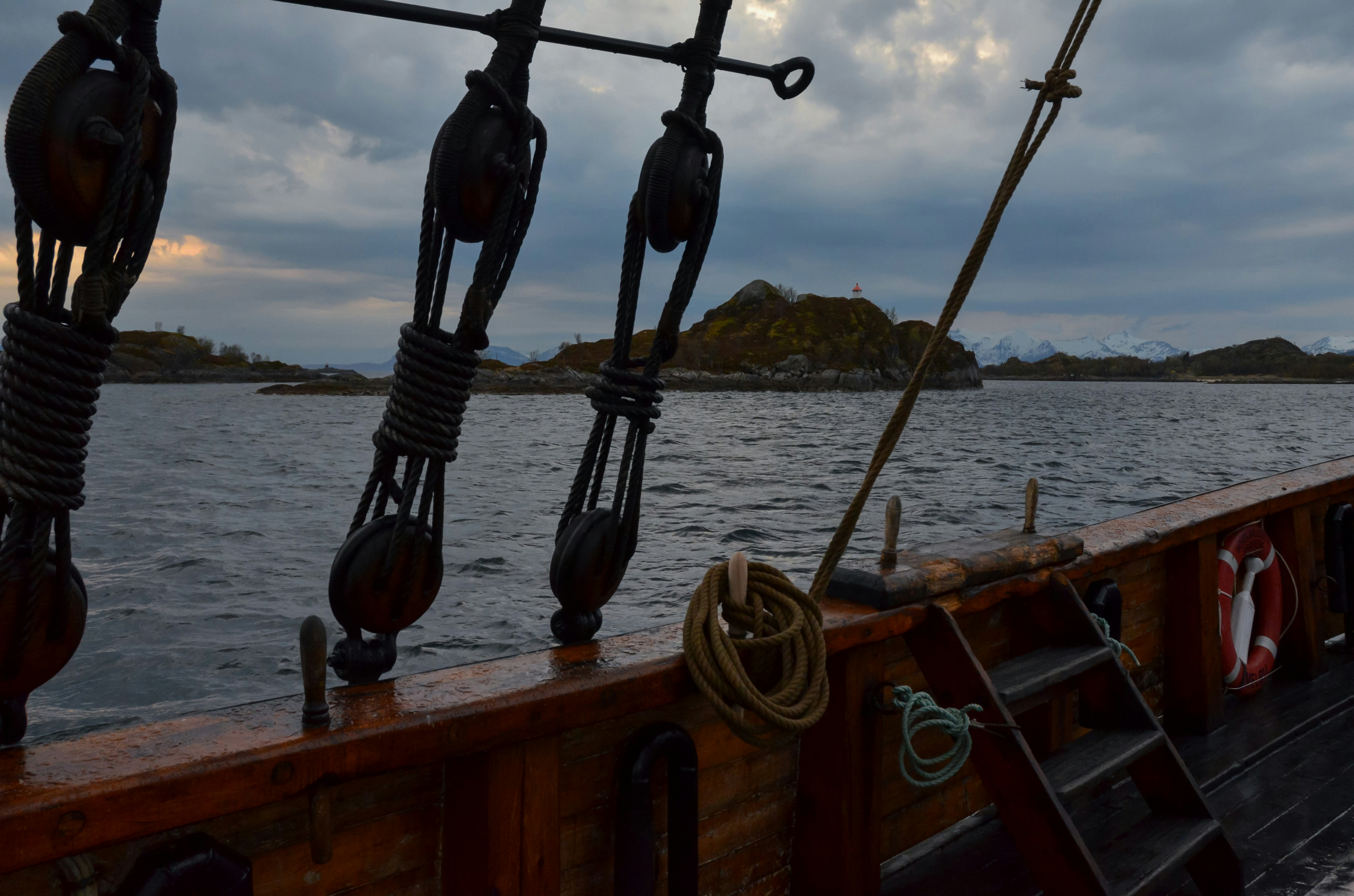 un bote con una hilera de peces en él