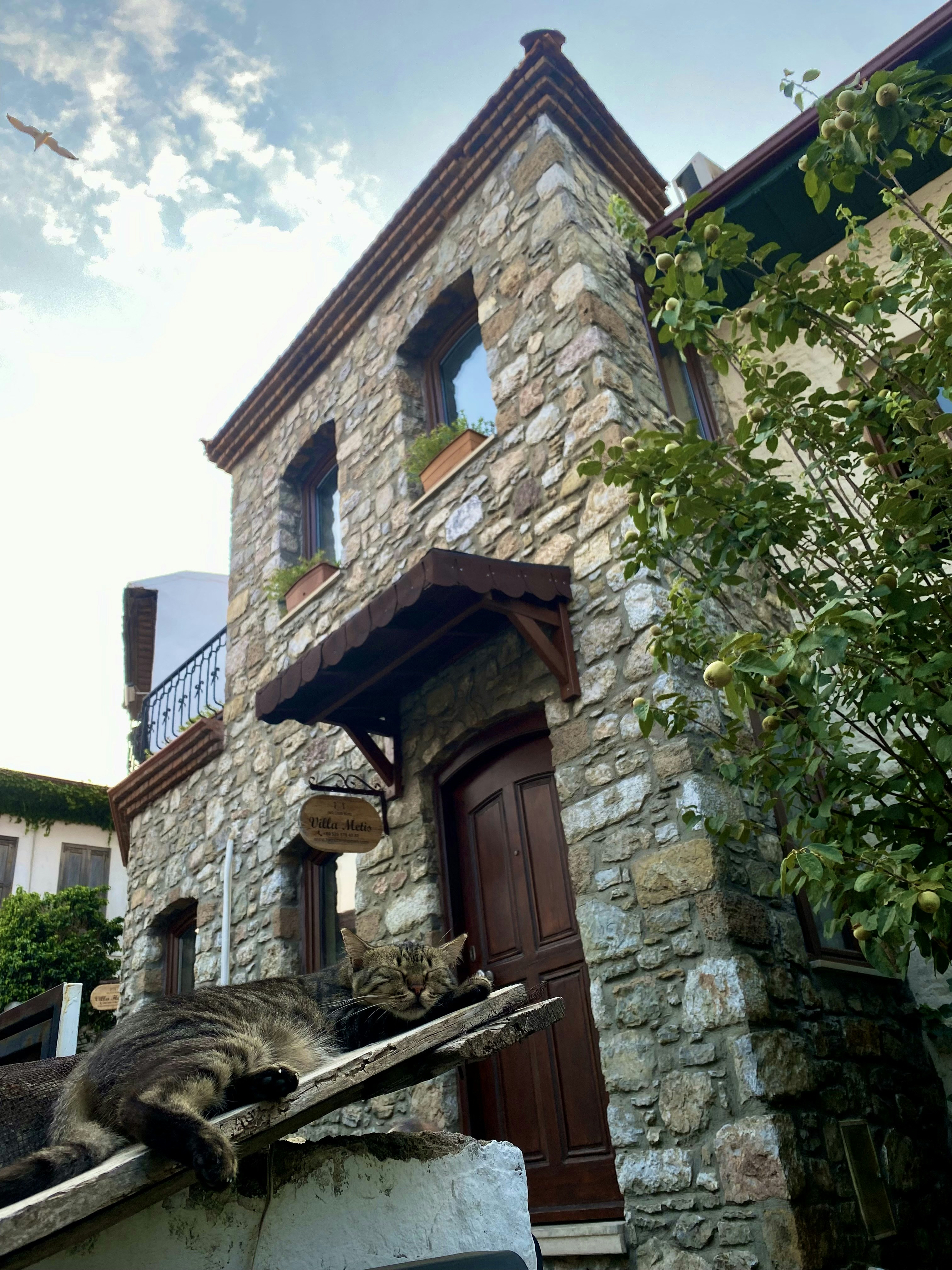 Photo by neslikirsacli