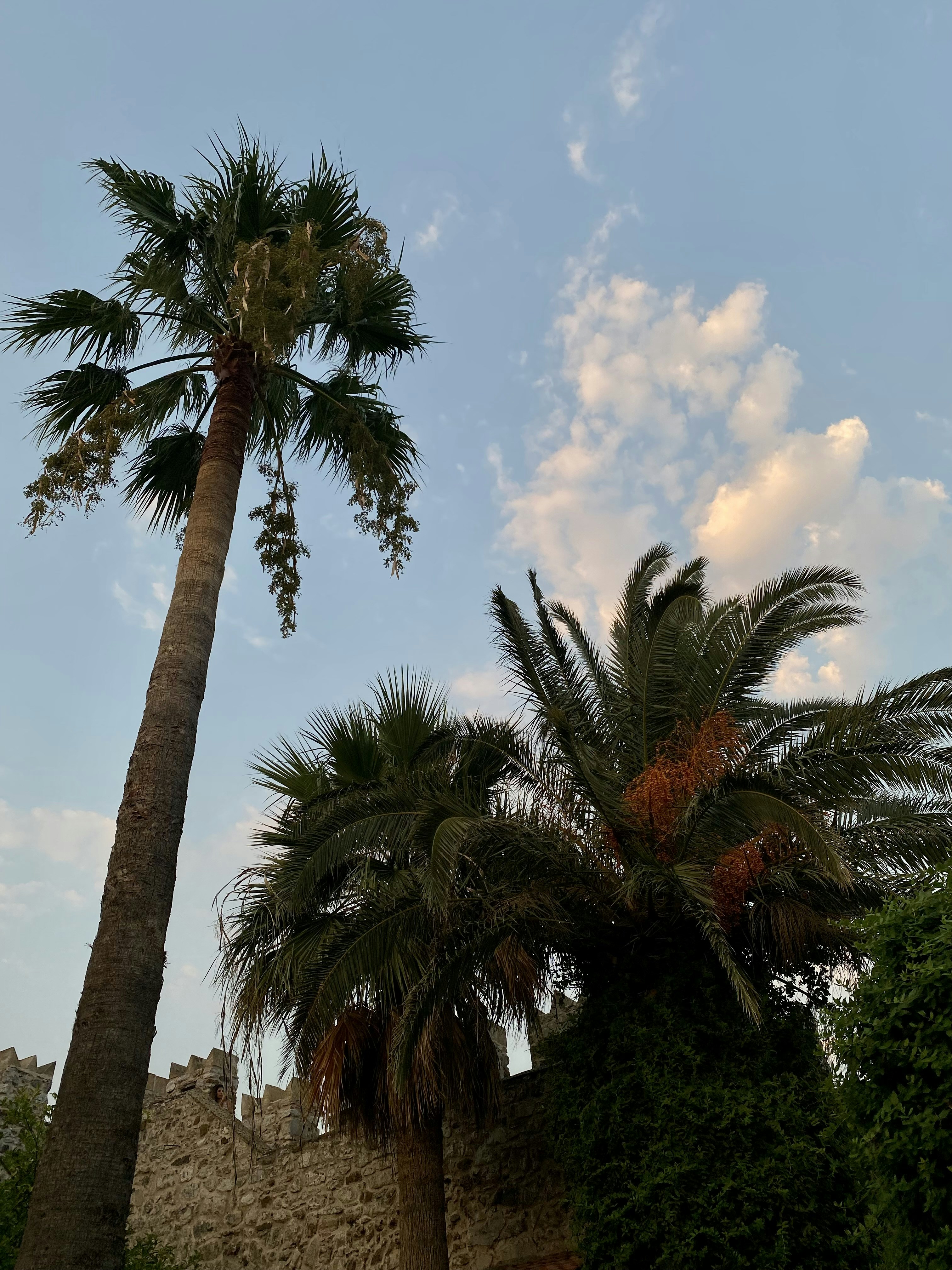 Photo by neslikirsacli