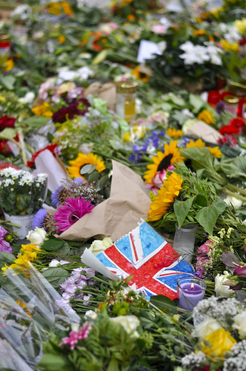 a group of flowers and a flag