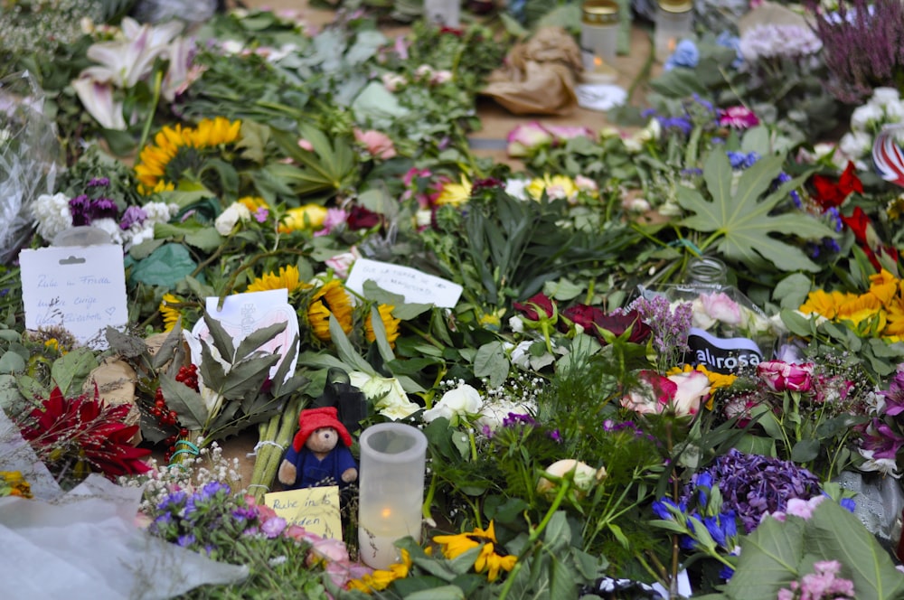 a group of flowers