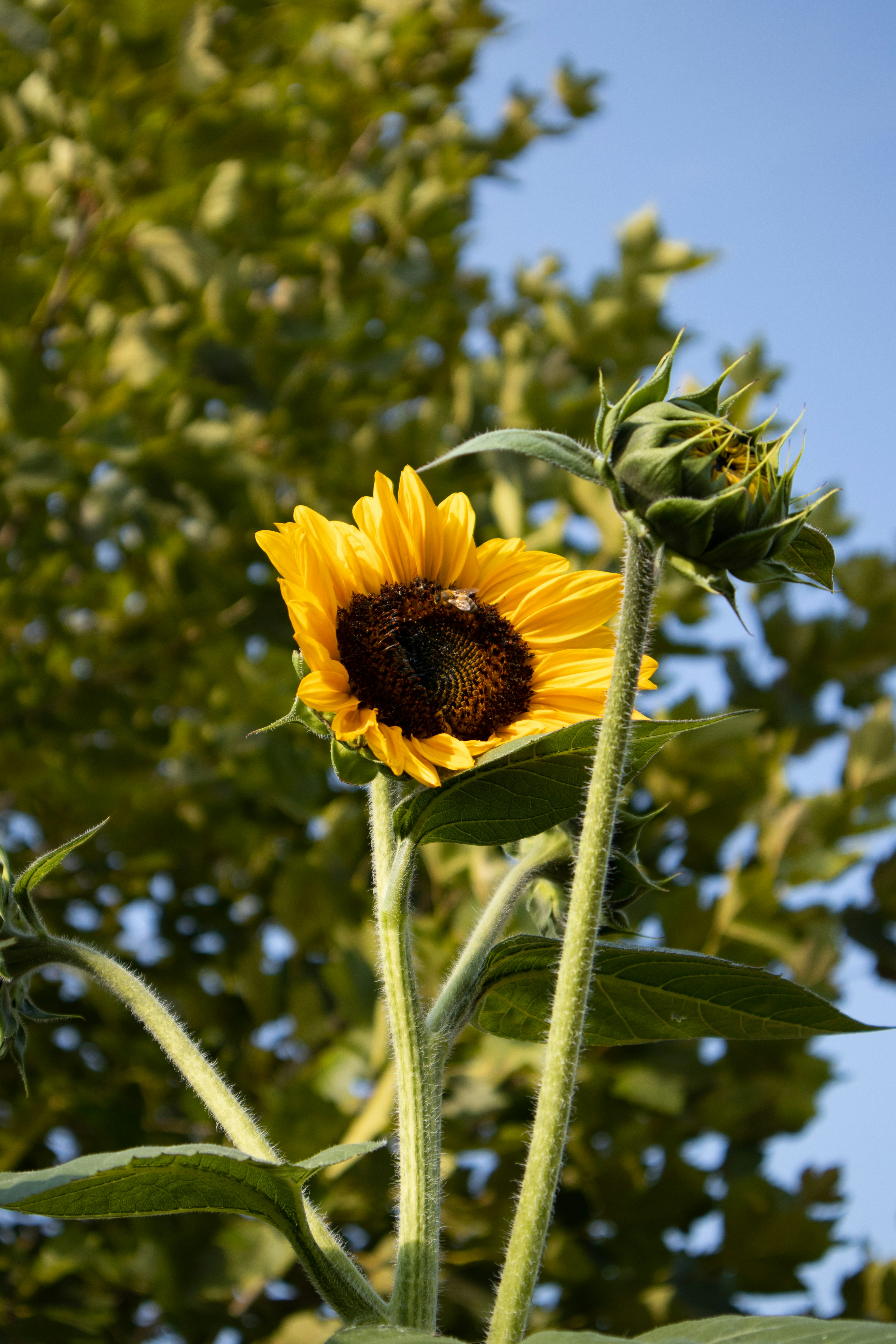 Photo by silviapgalan