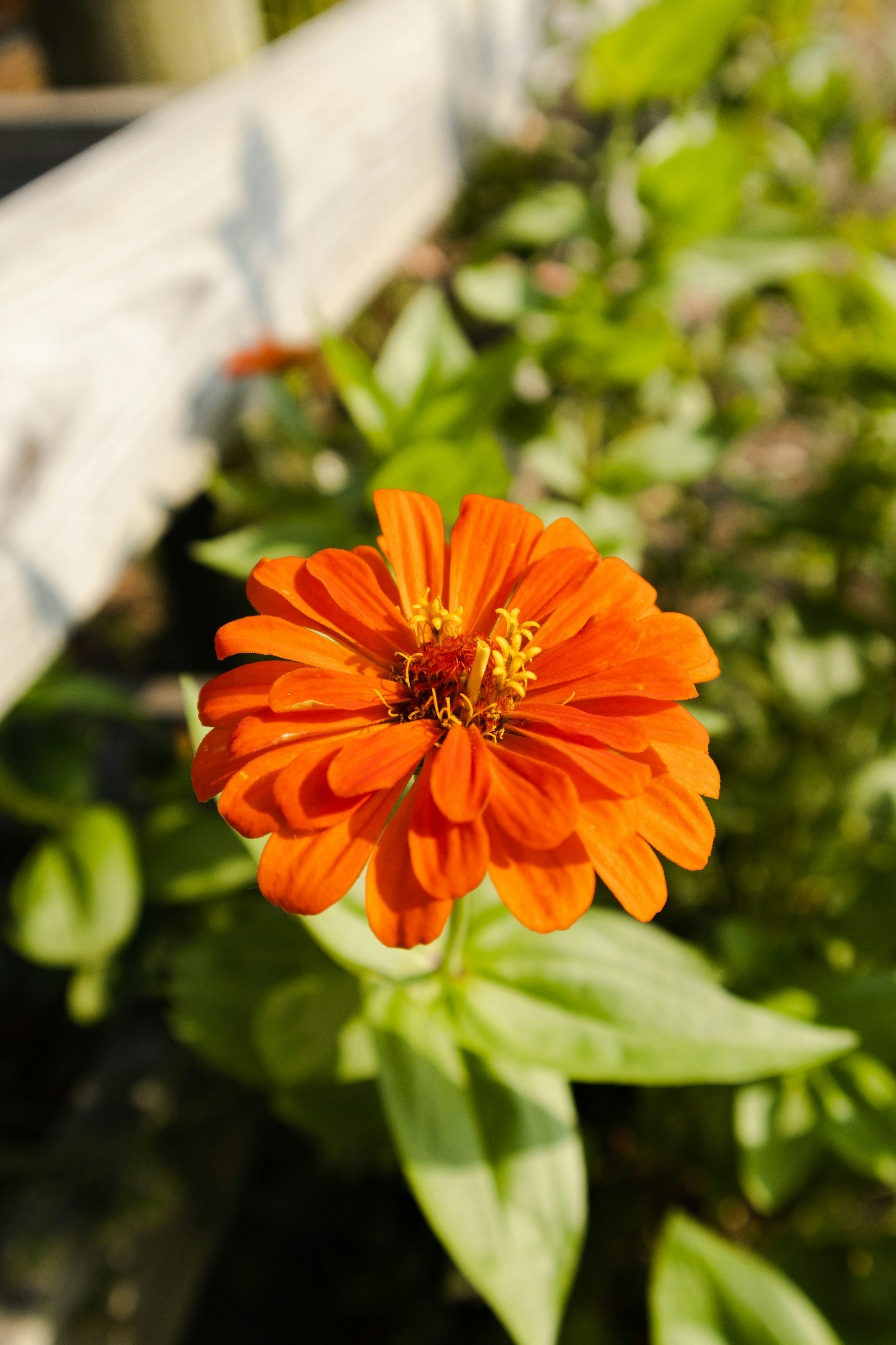 Photo by silviapgalan